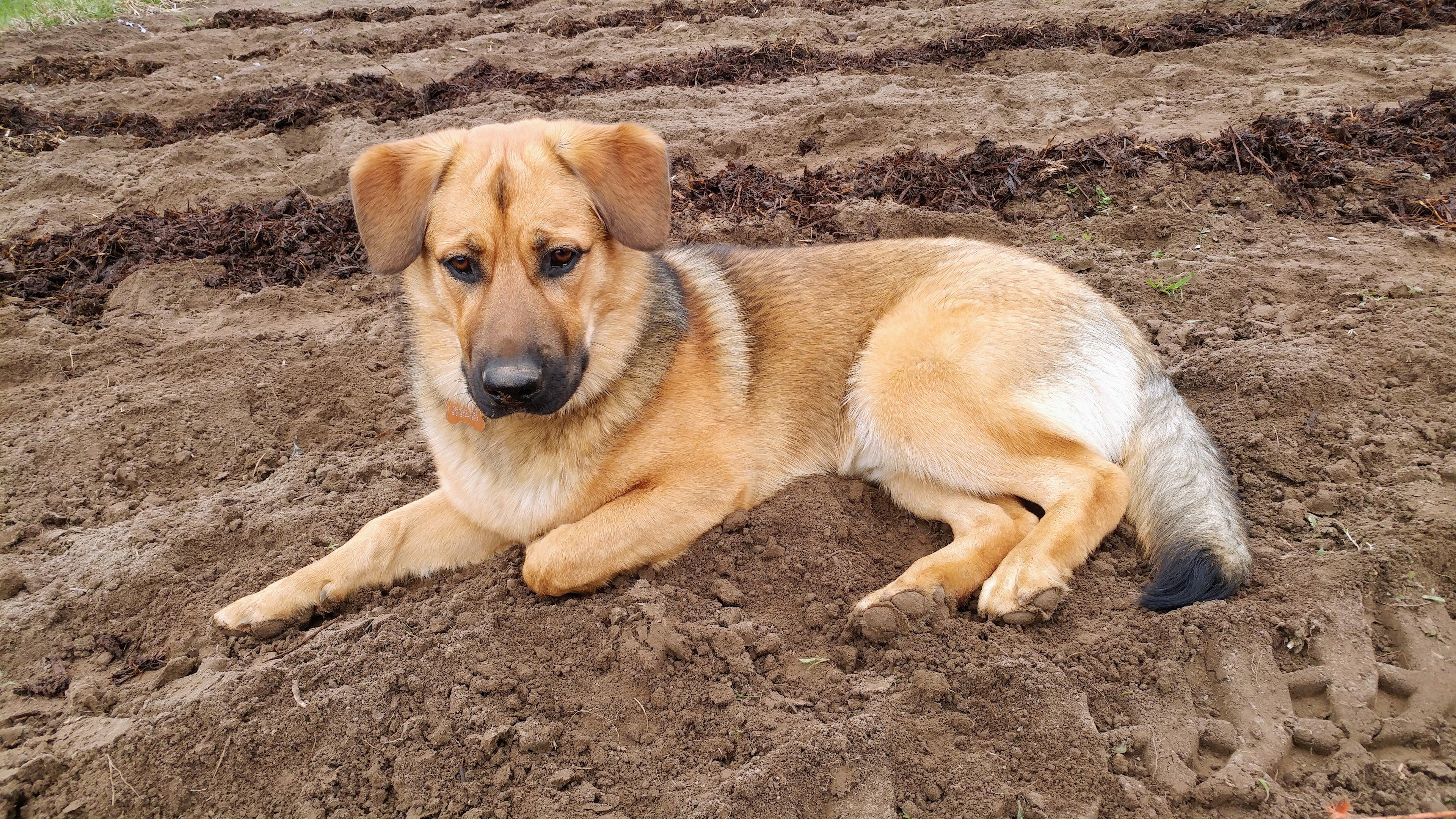 Saugeen River Retreat