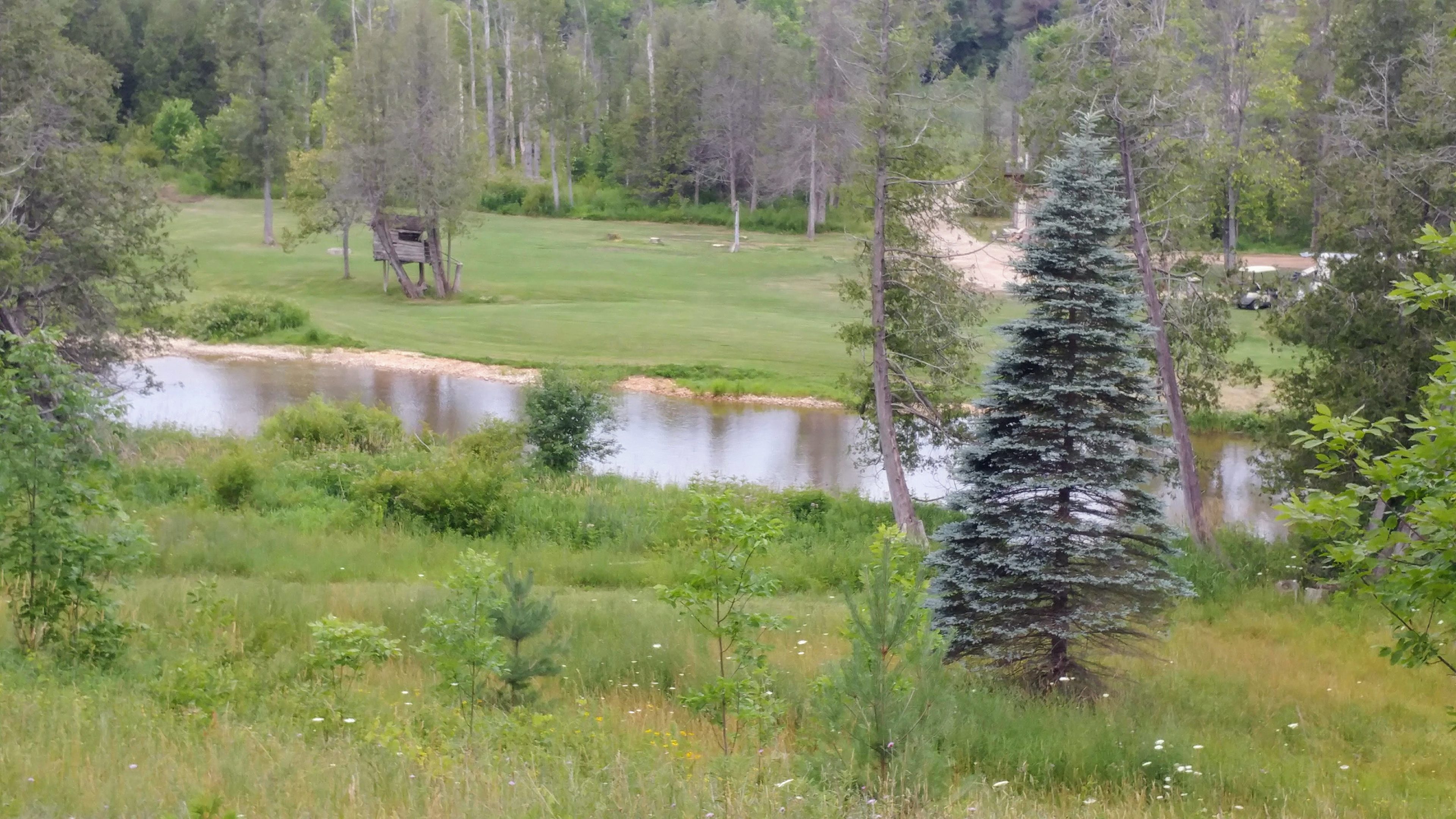 Saugeen River Retreat