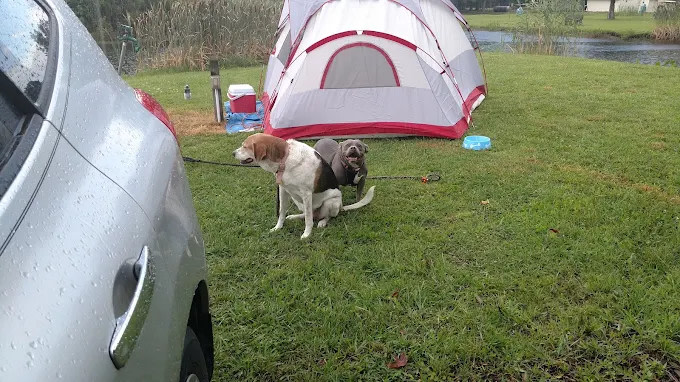 Sandy Point Resort Campgrounds