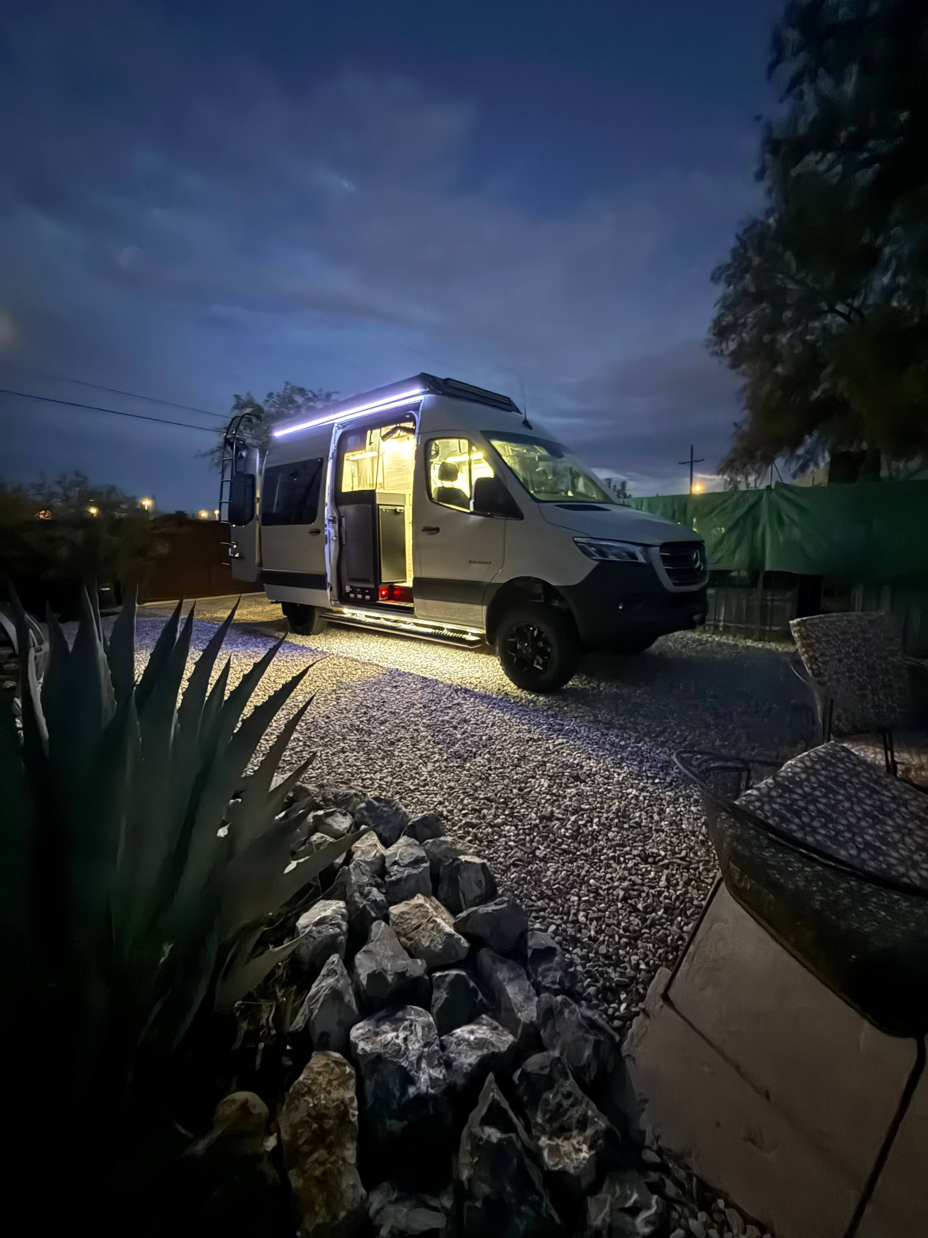 Roadrunner Tucson Birds and Cacti