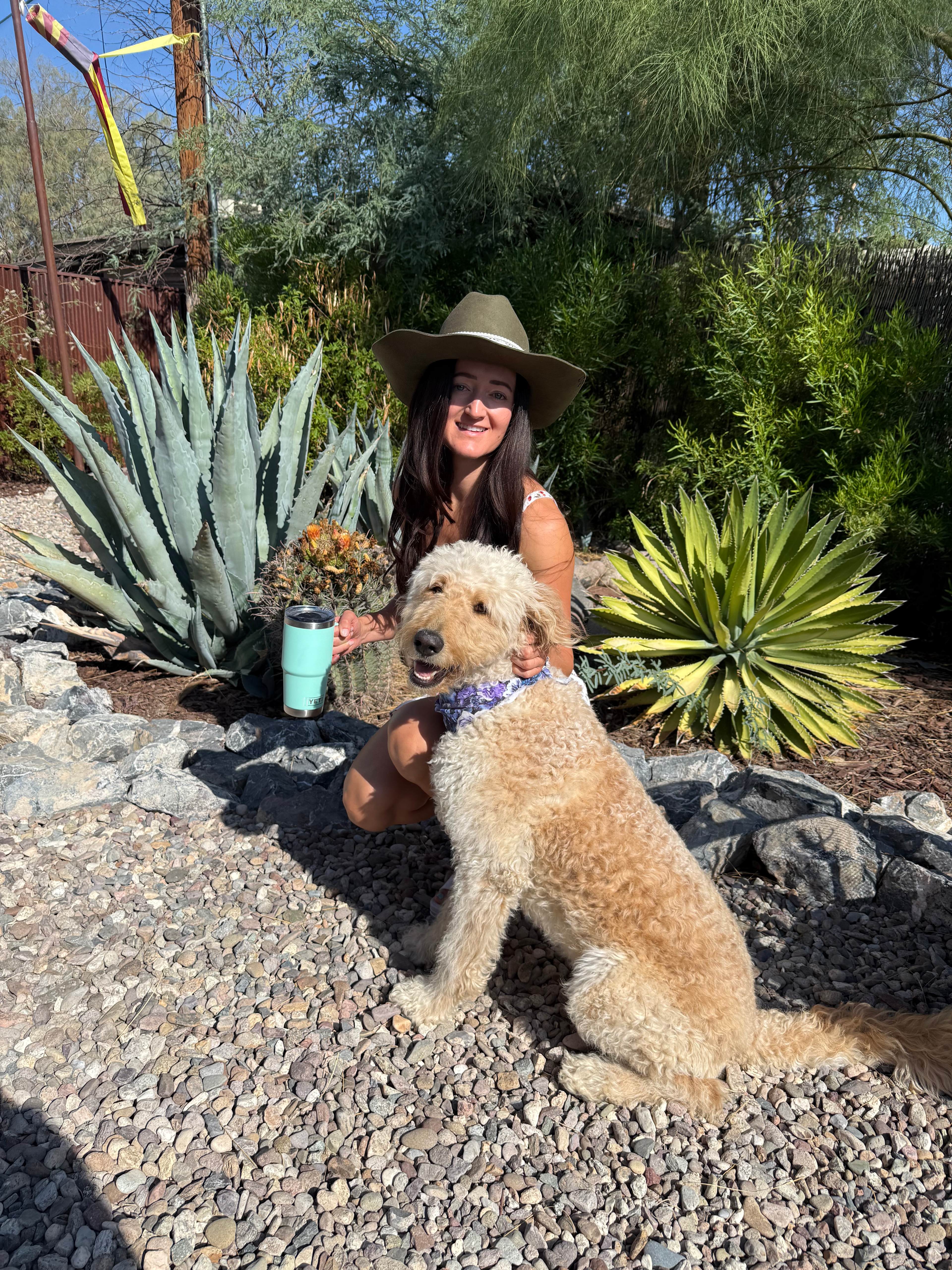 Roadrunner Tucson Birds and Cacti