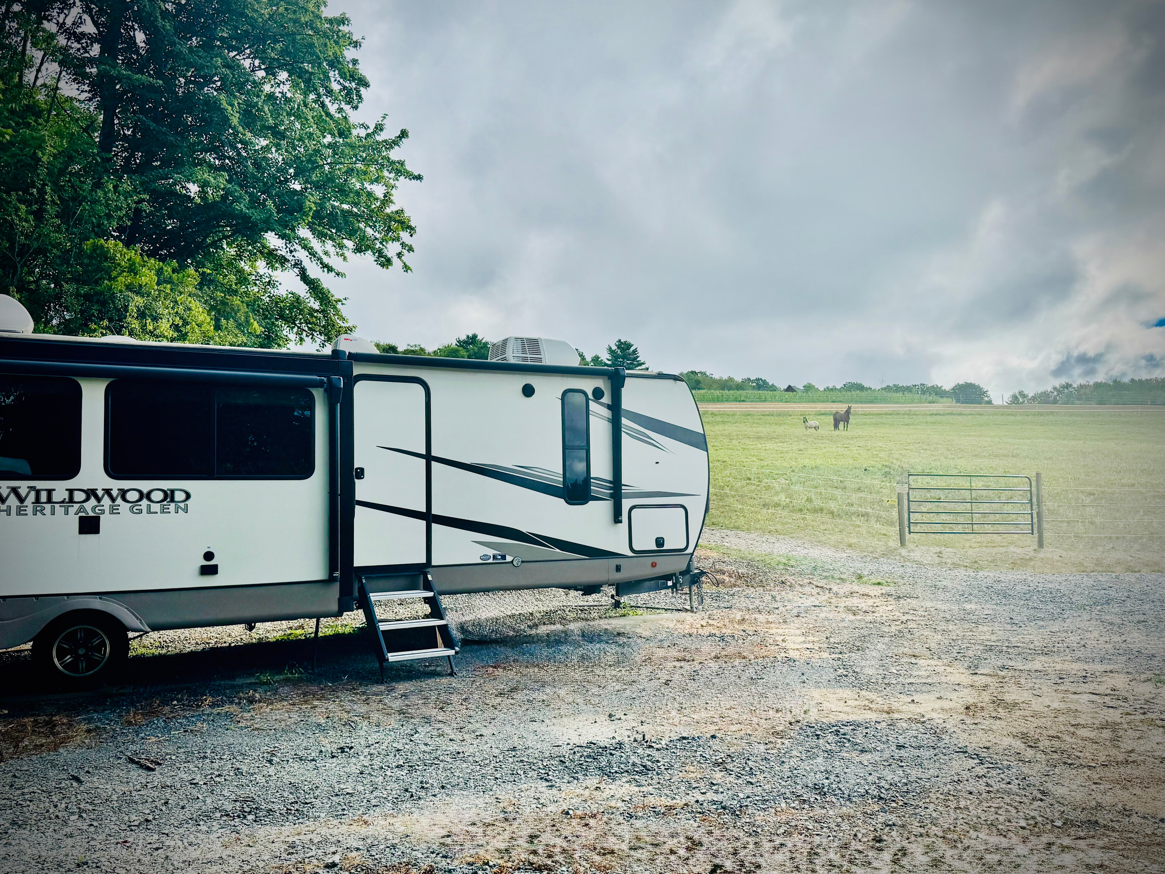 Campsite with view of the pasture 