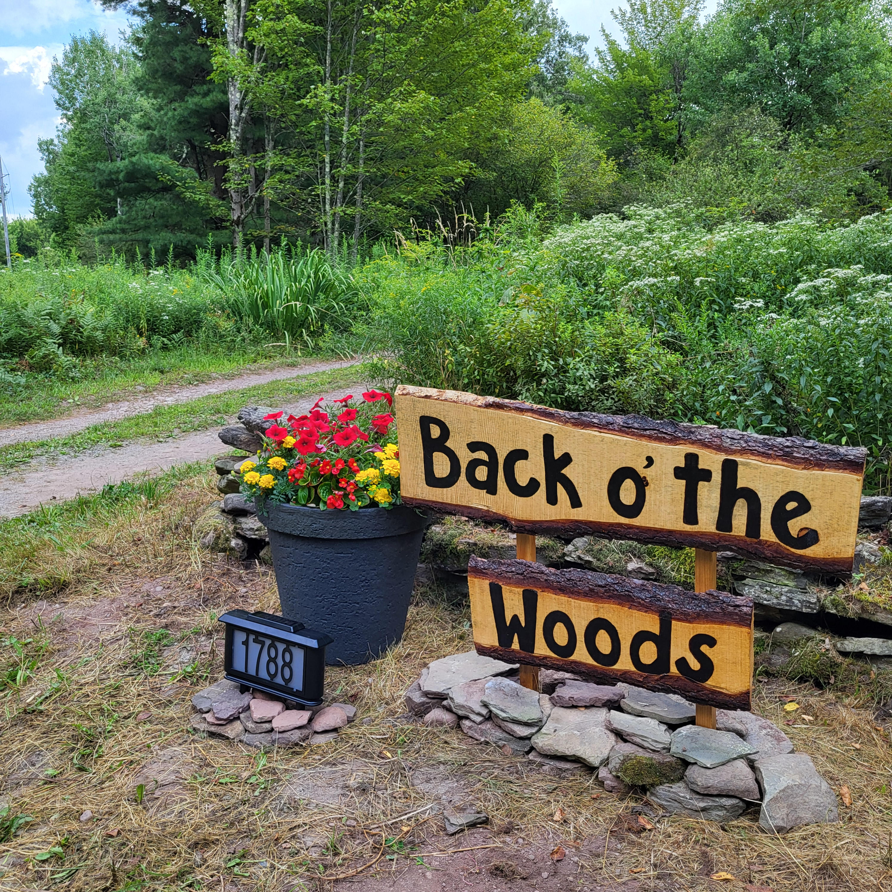 Back o' the Woods