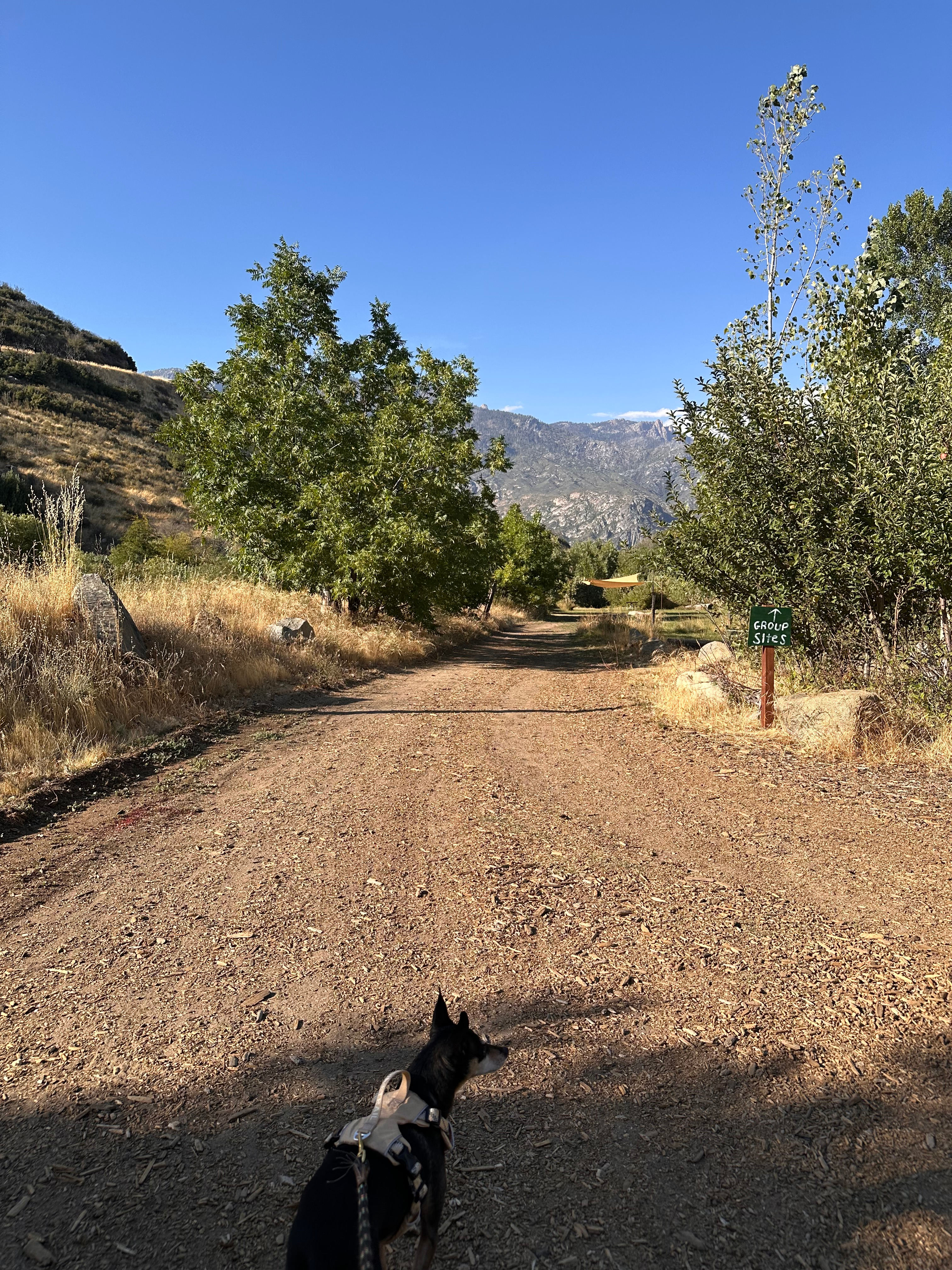 Kings Canyon Campground