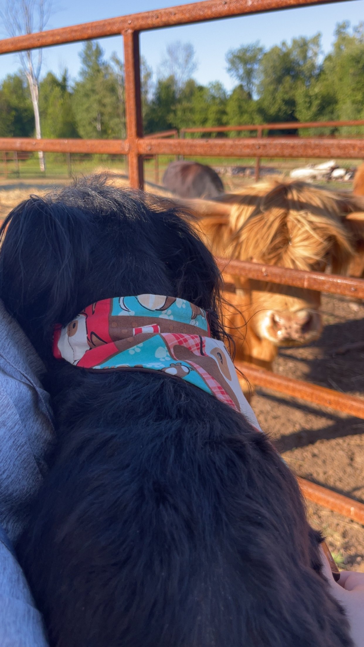 Pepper with the highland