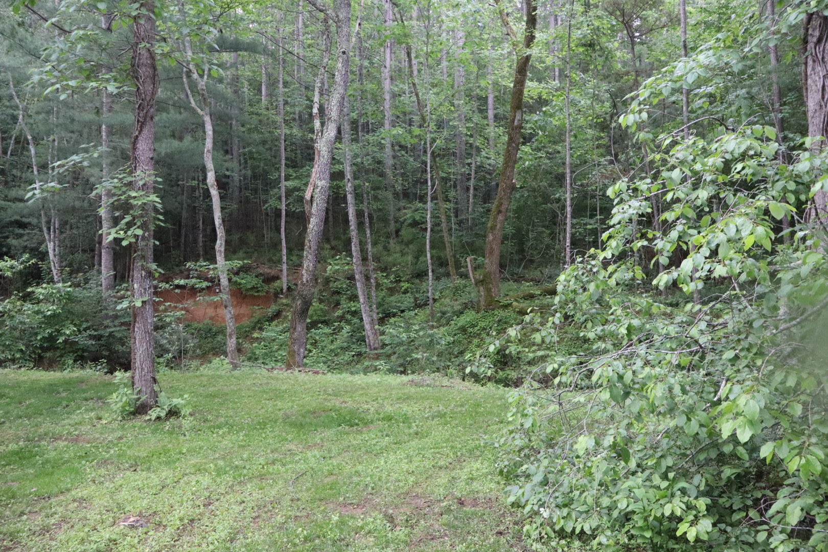 Creekside Bear's Den