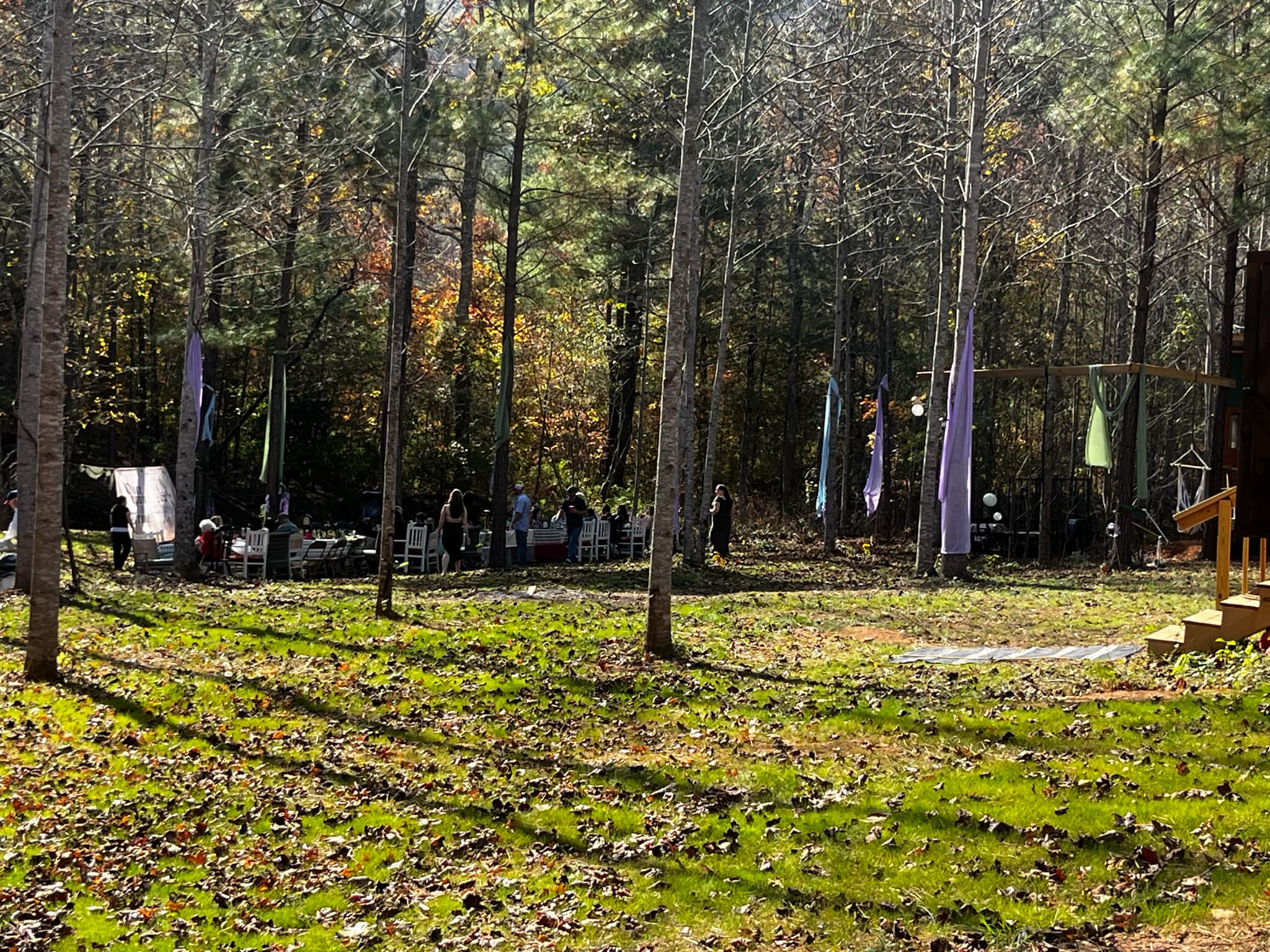 Creekside Bear's Den