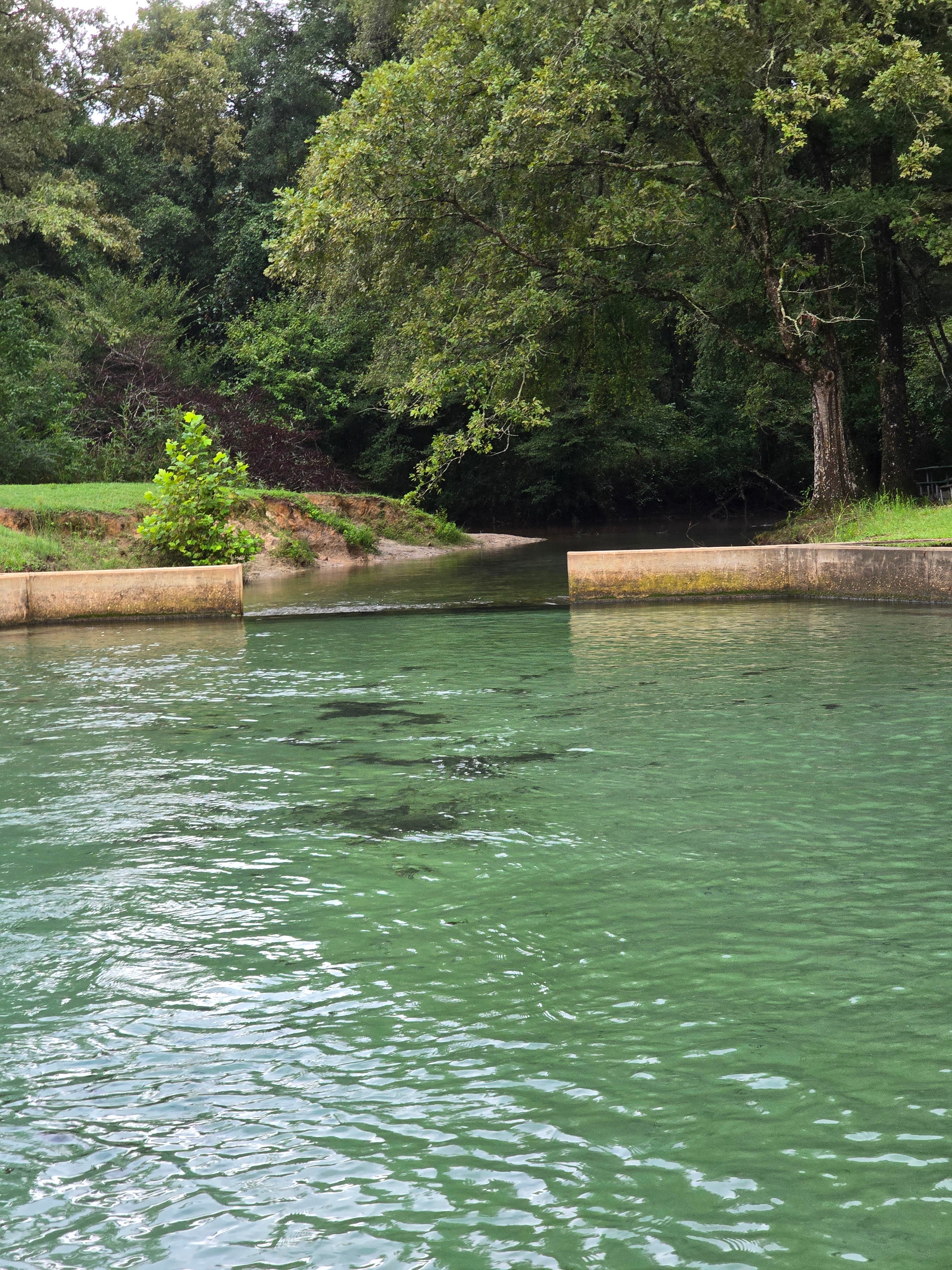 Blue Springs State Park