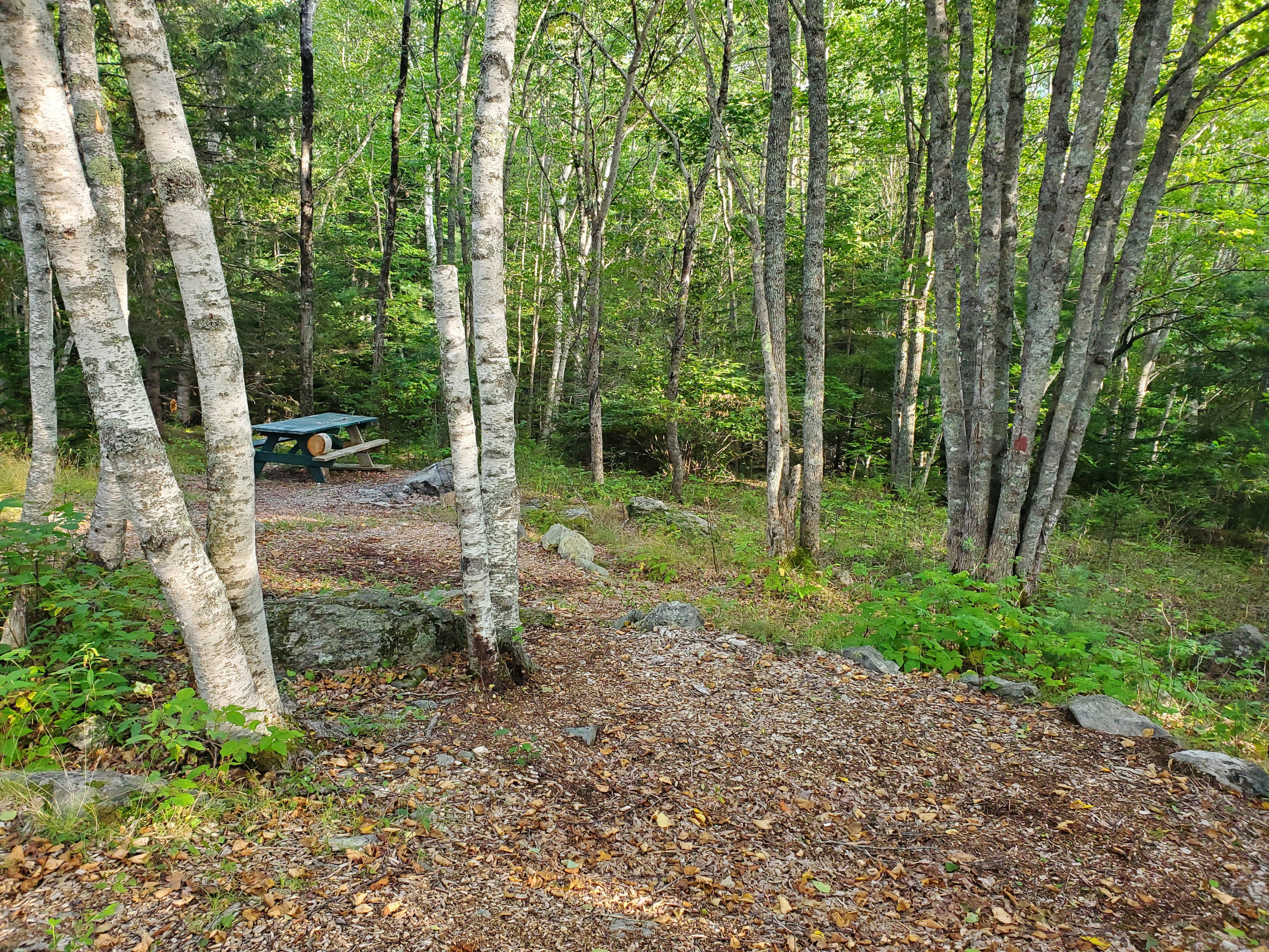 Backroad to Acadia