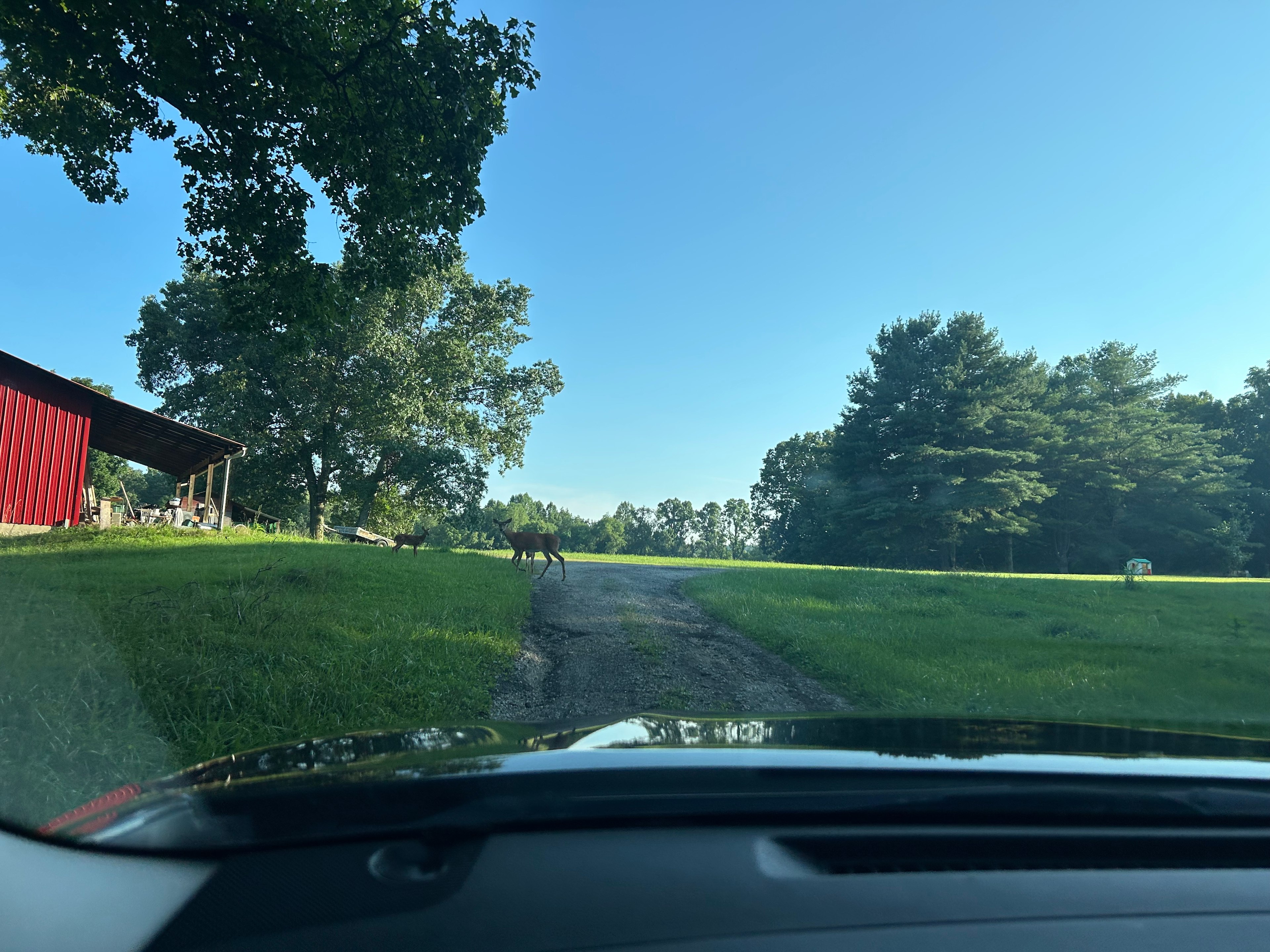 Driveway to site- access to electrical and water by red barn.