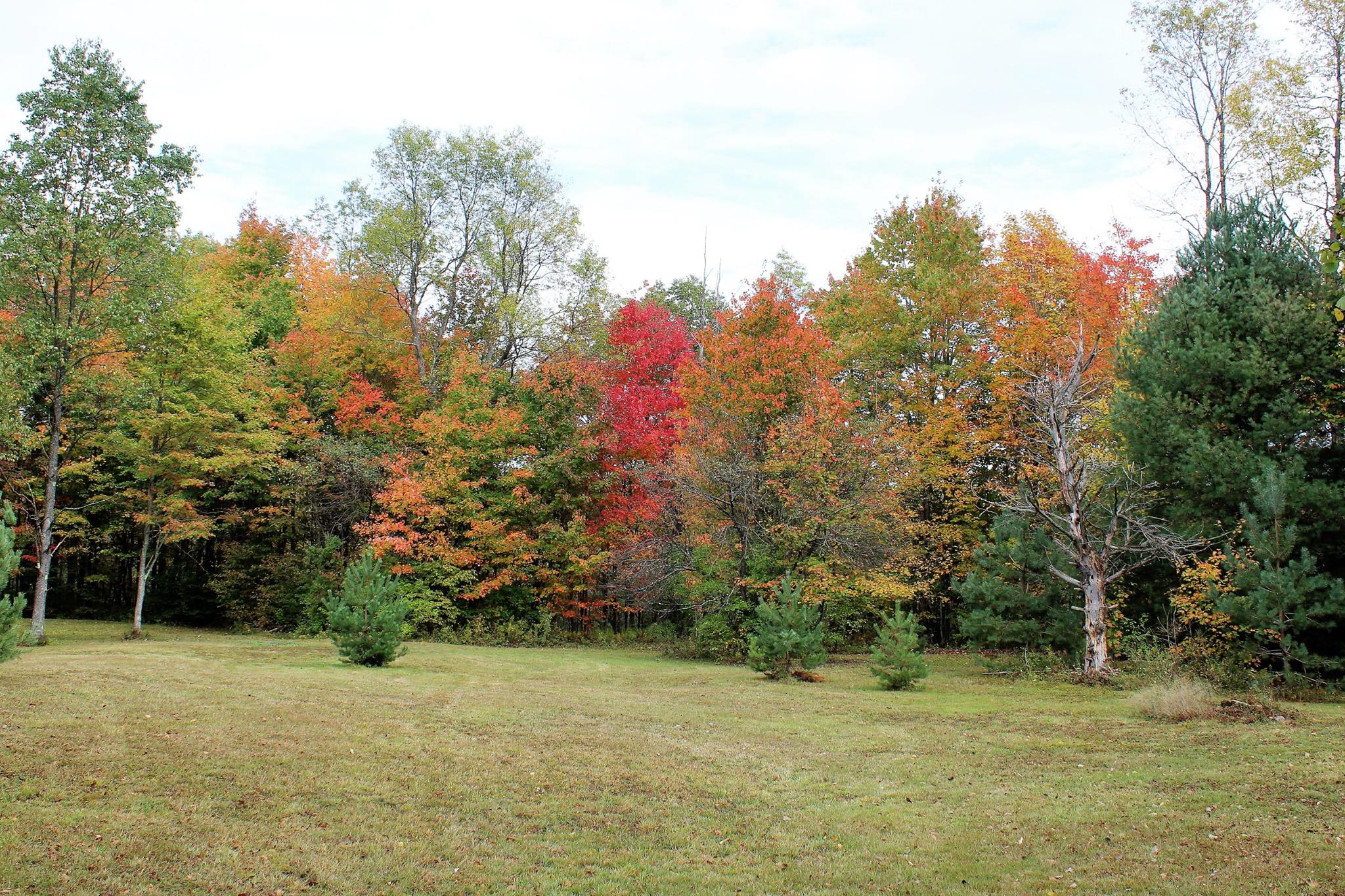 Spruce Creek Campground