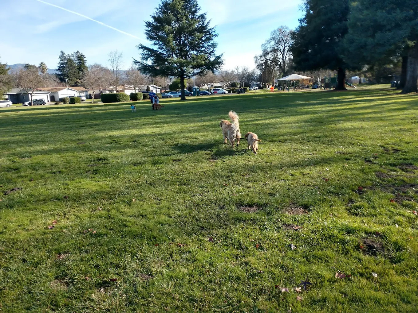 Manor Oaks Overniter