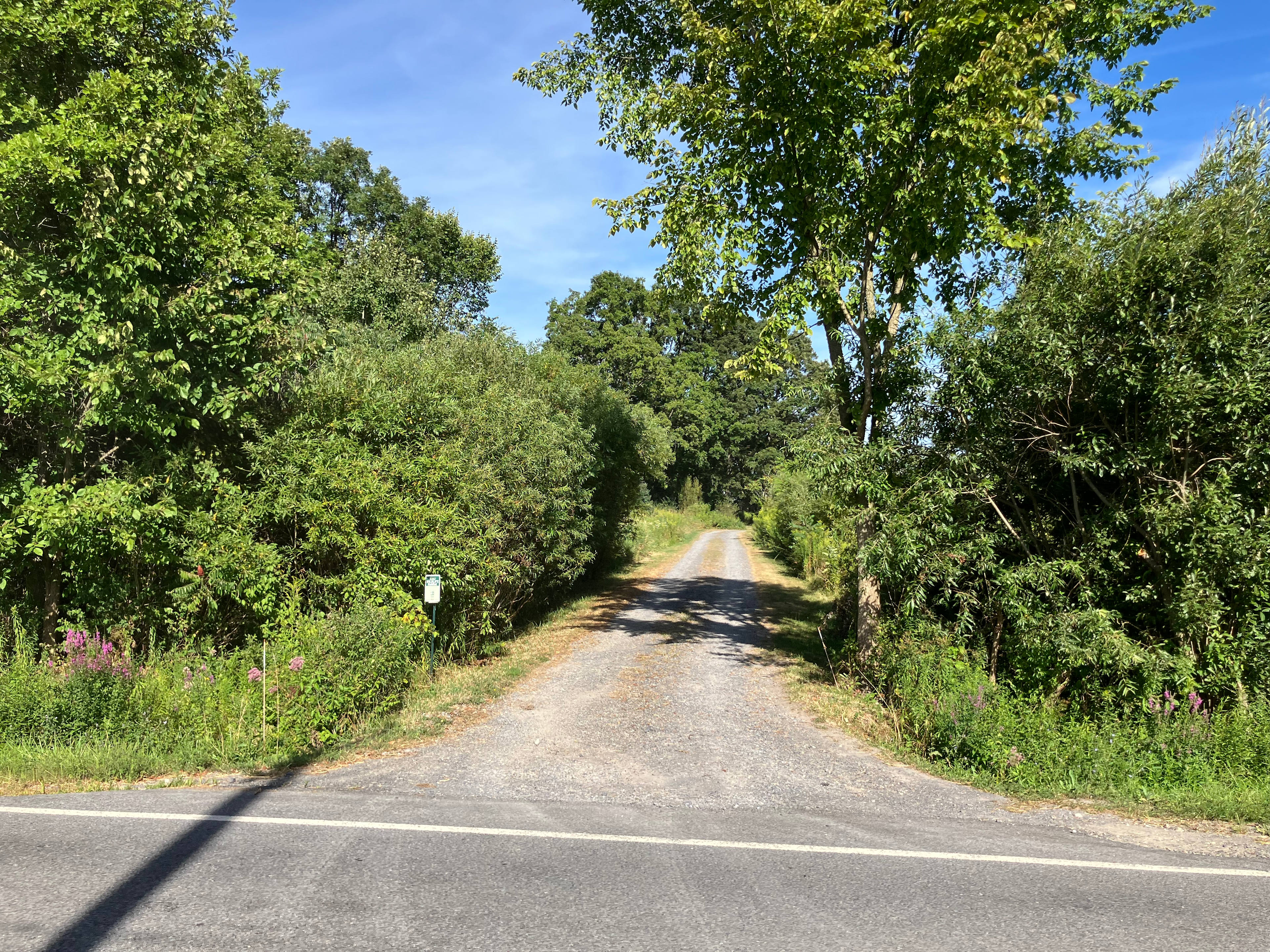 Driveway from Ed Hill Rd