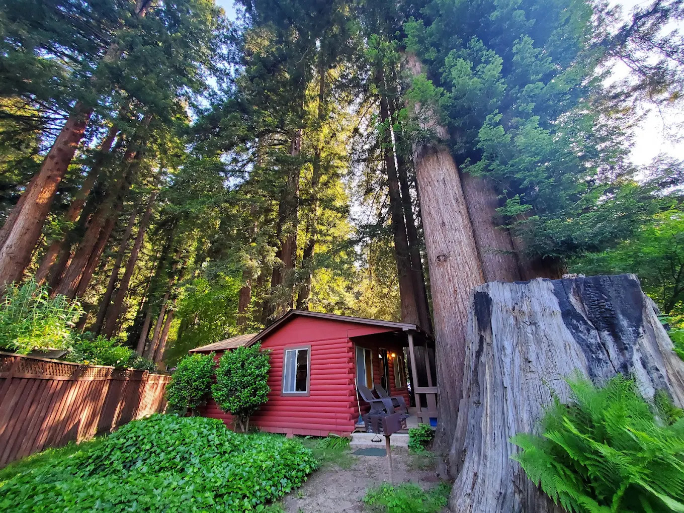 Fern River Resort