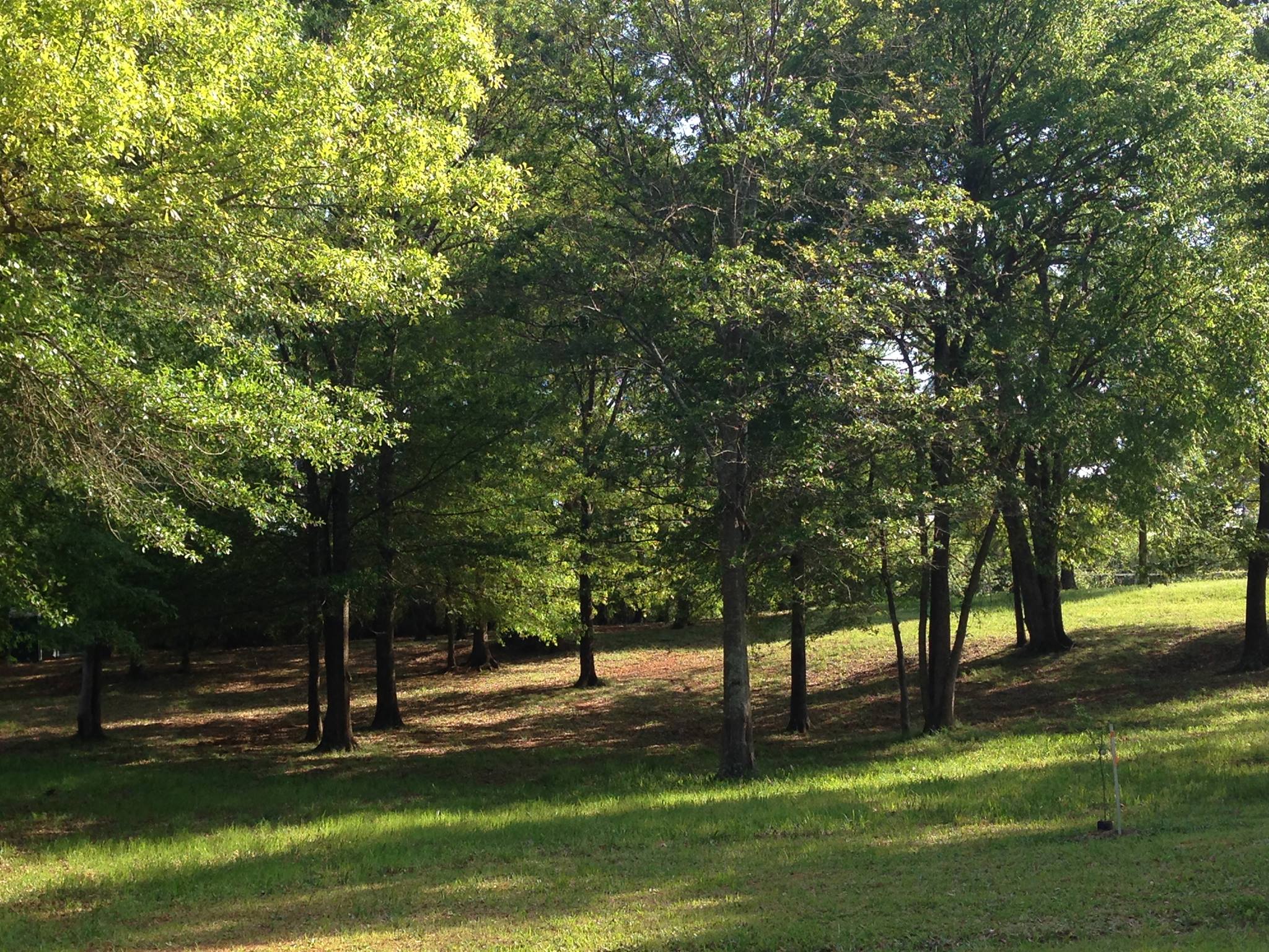 Shadyoaks Campground and RV Park