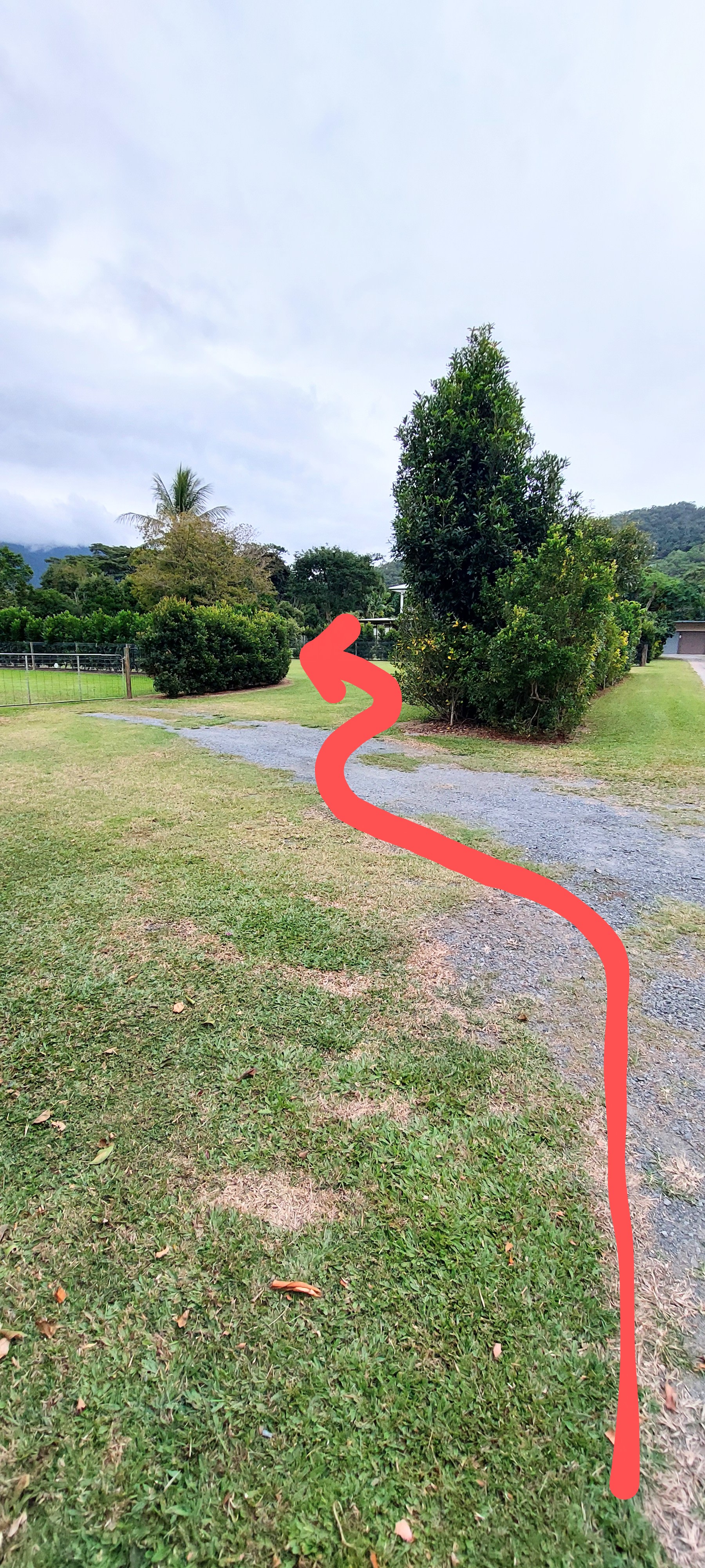 Cairns South Camp Spots