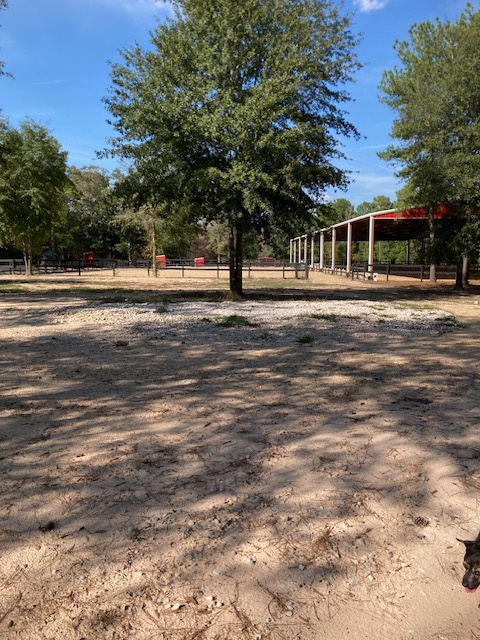 Peach Creek Sporthorses Inc