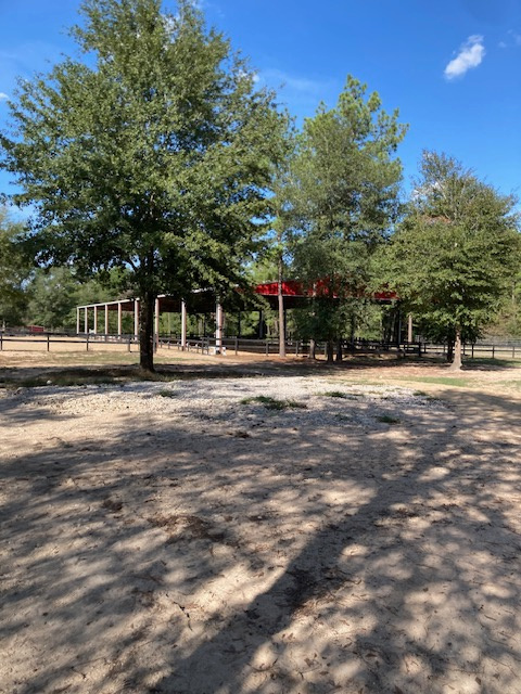 Peach Creek Sporthorses Inc