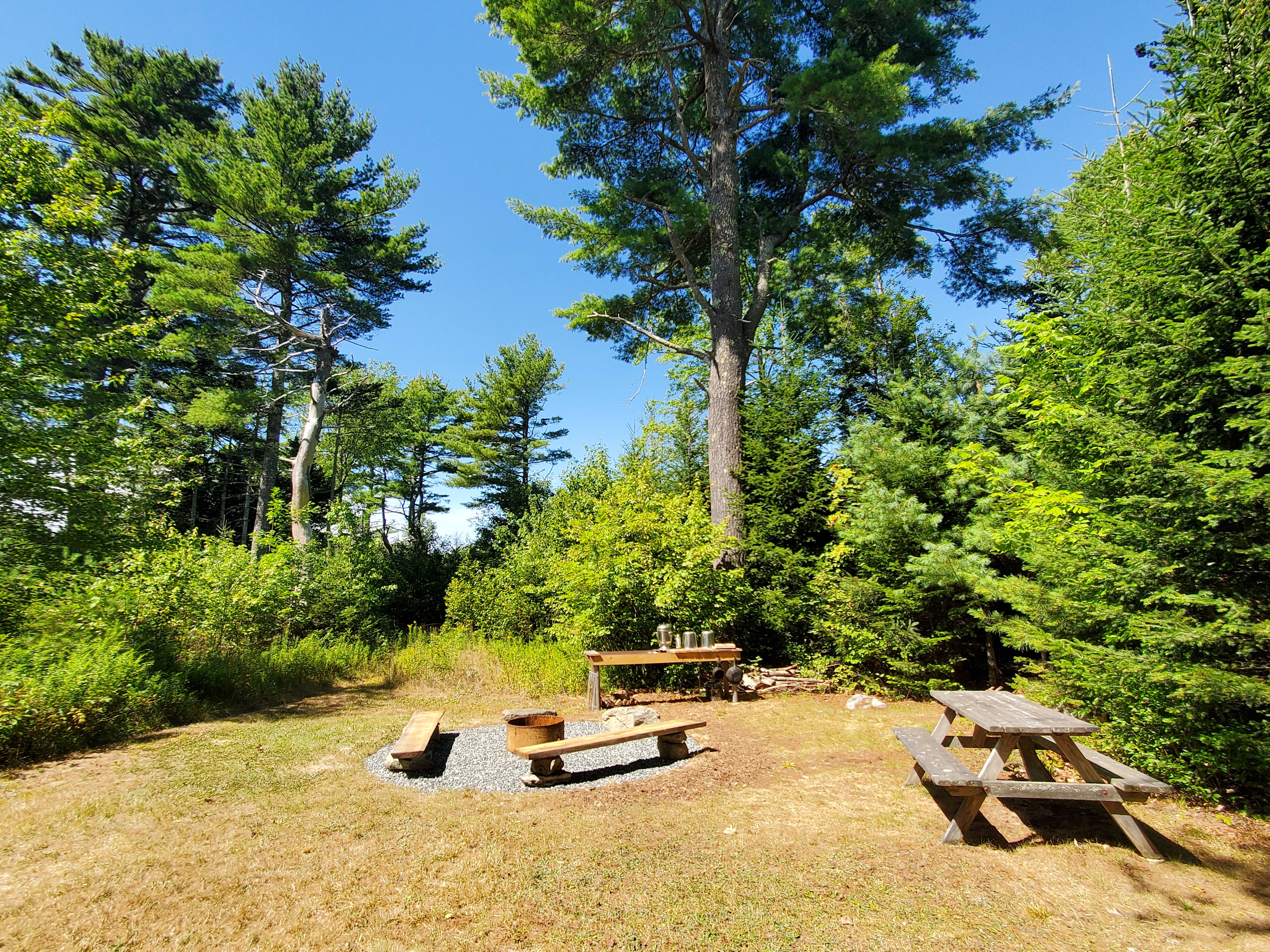 Chickadee Hollow: Eco Camping