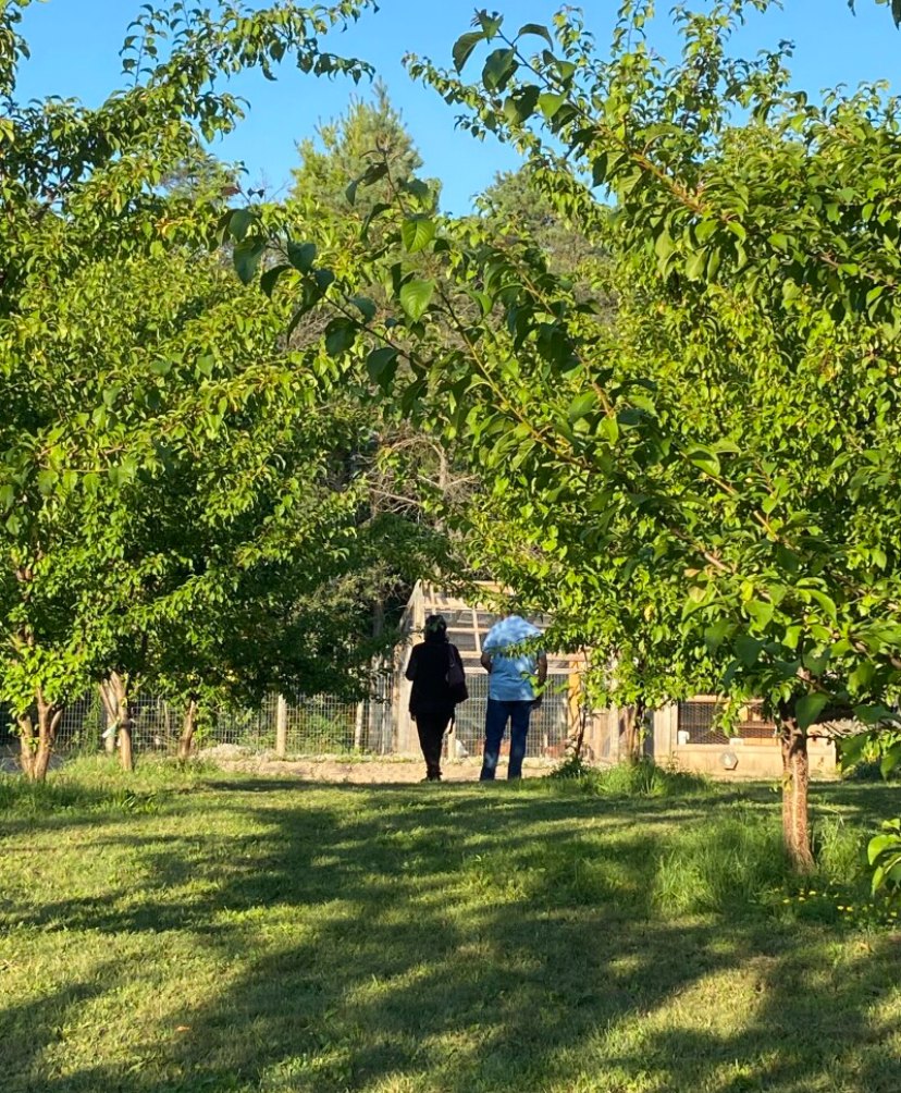 Shelby’s Ranch