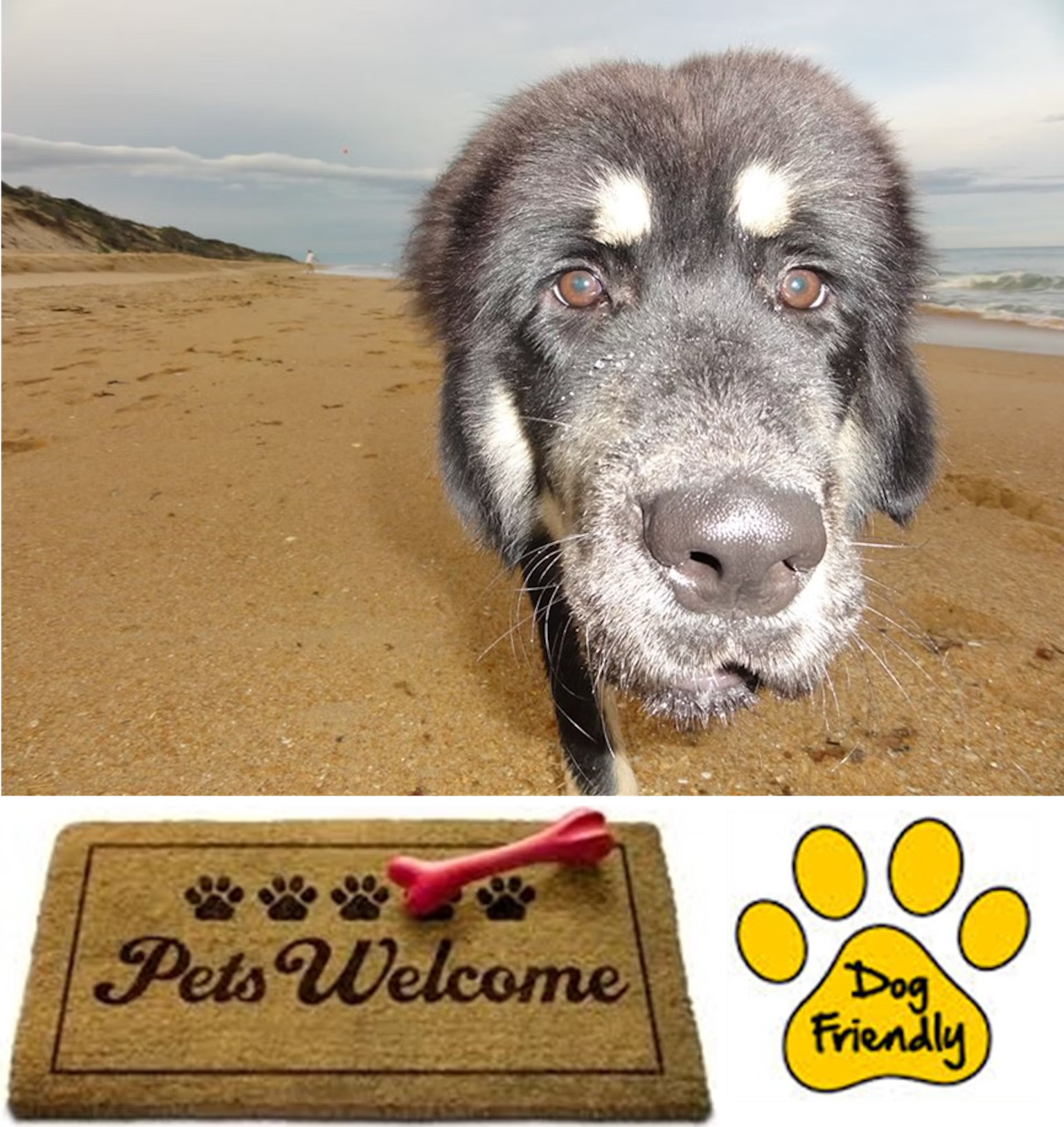 90 Mile Beach House and Villas