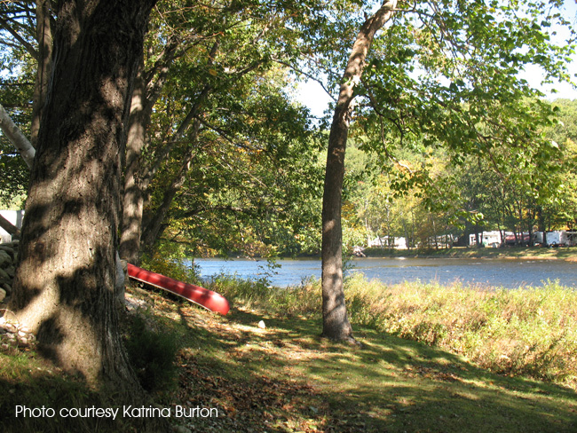 Bald Mountain Campground