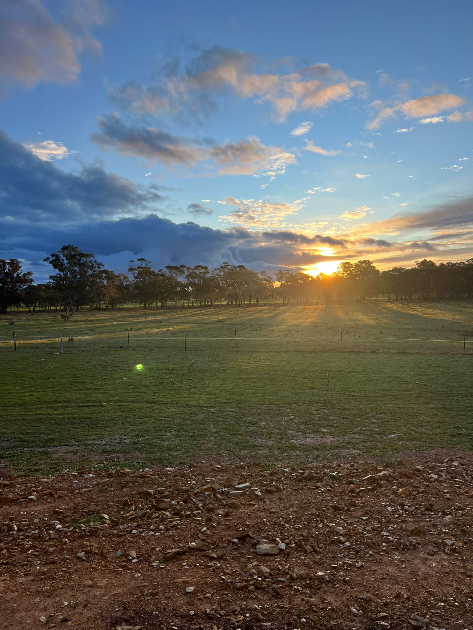 Lekki Farms