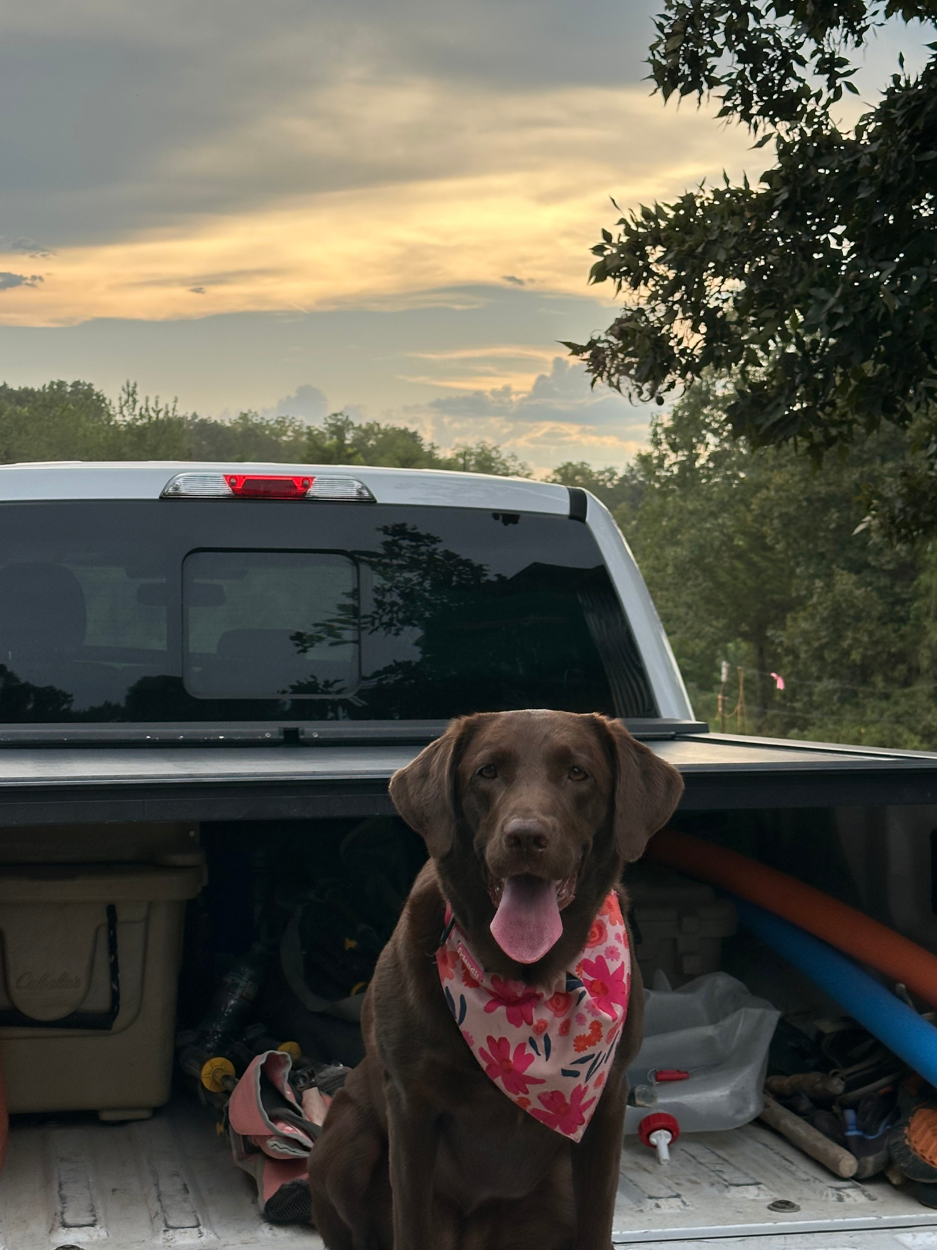 Buffalo River Hideaway