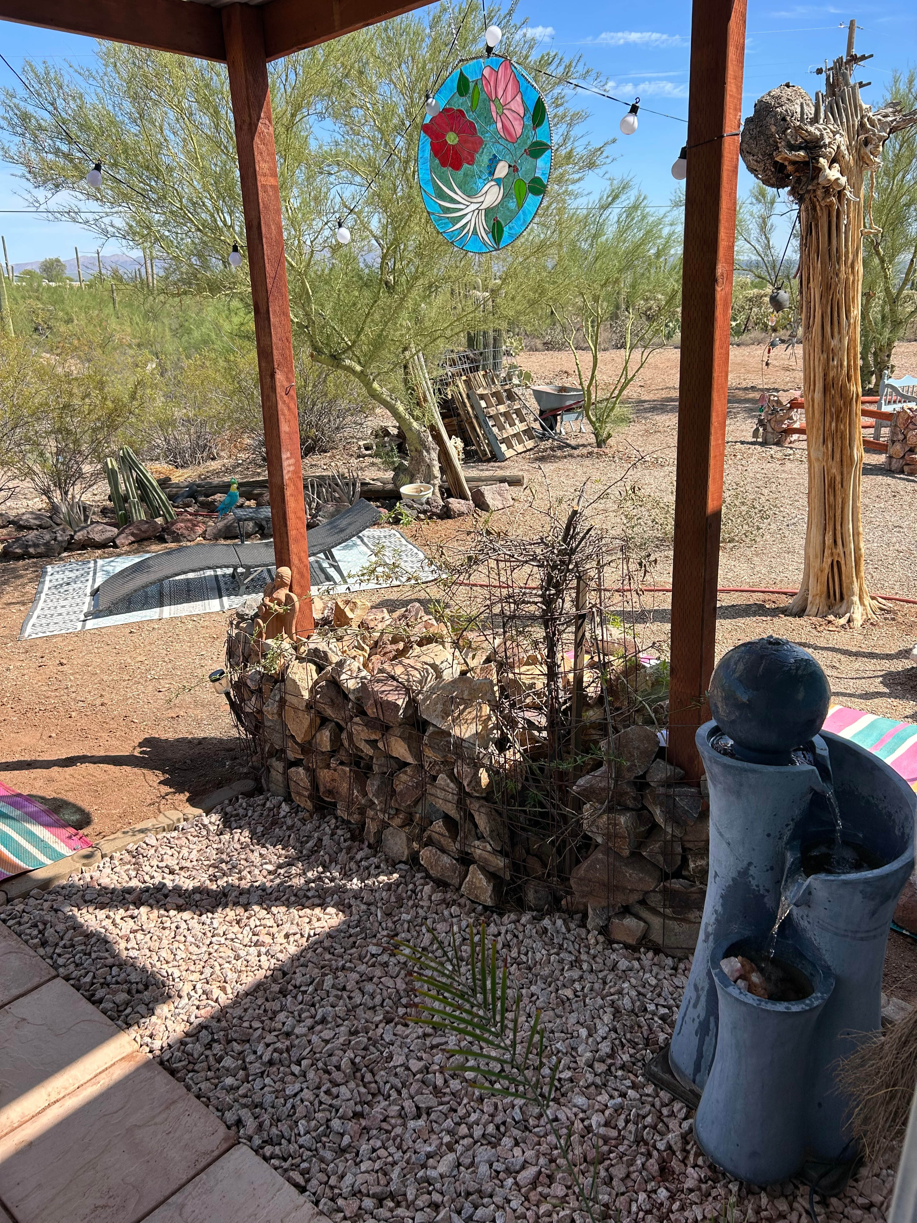 Tucson Saguaro sky