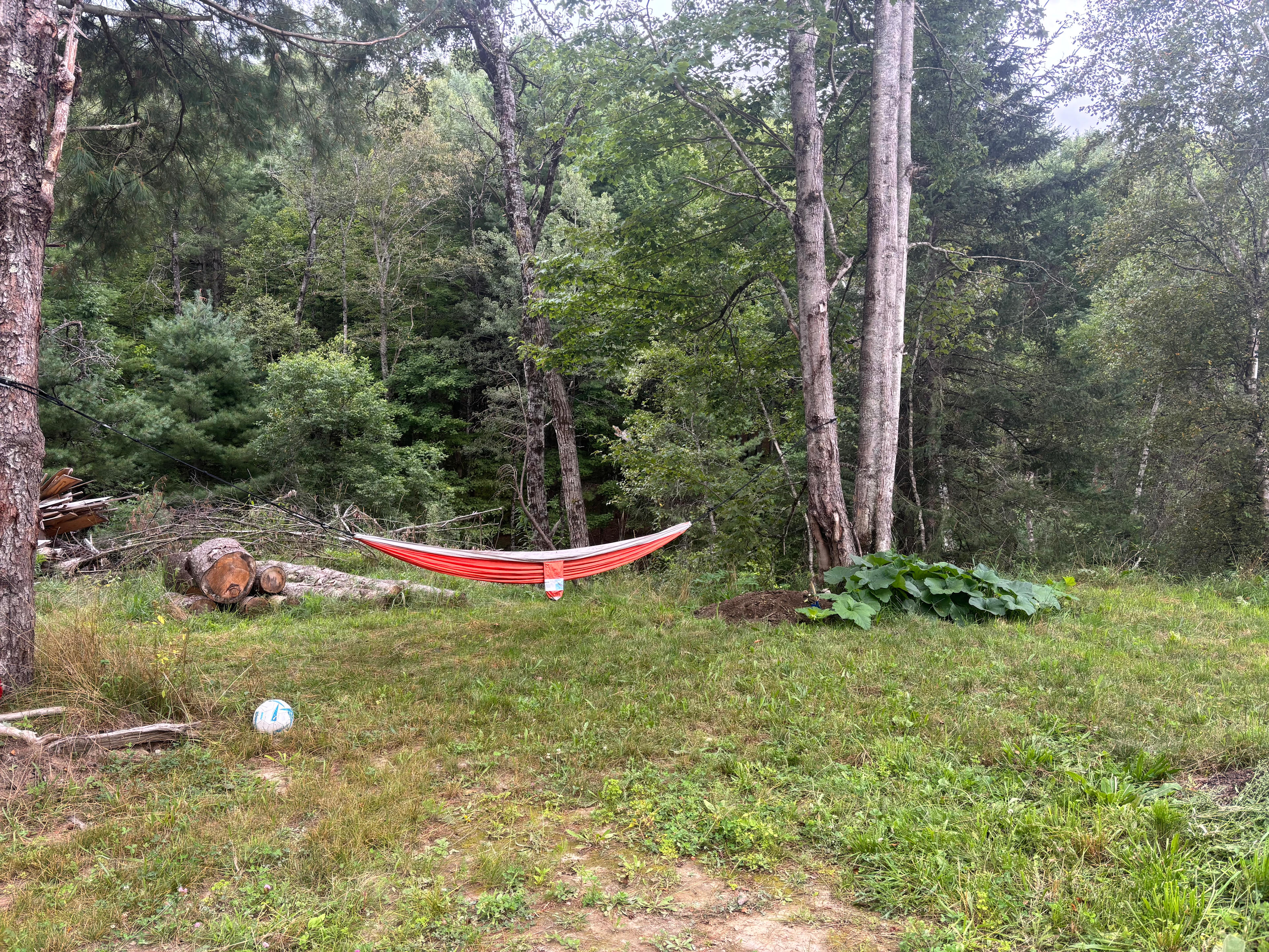 Secluded Forest Retreat