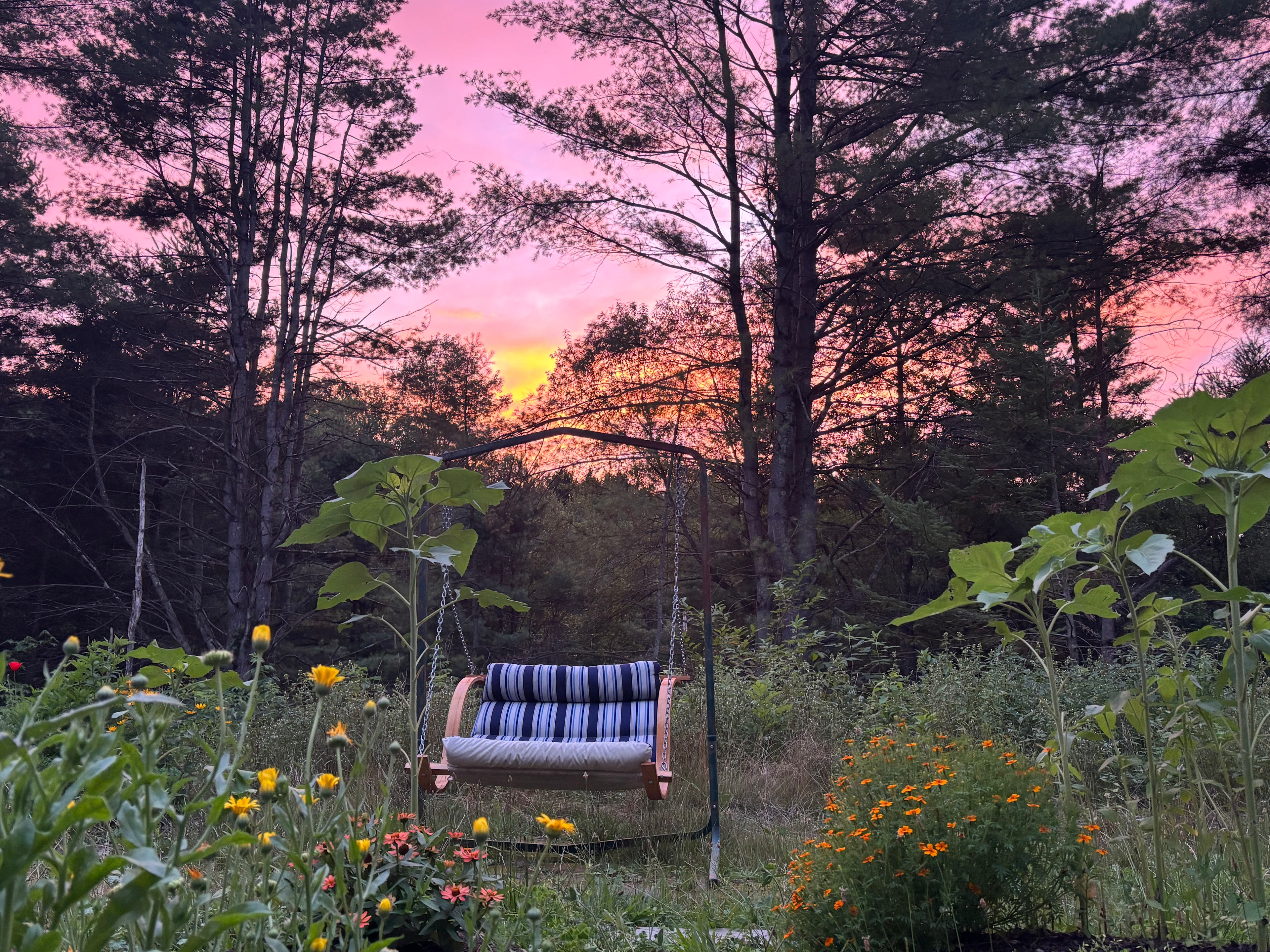 Secluded Forest Retreat