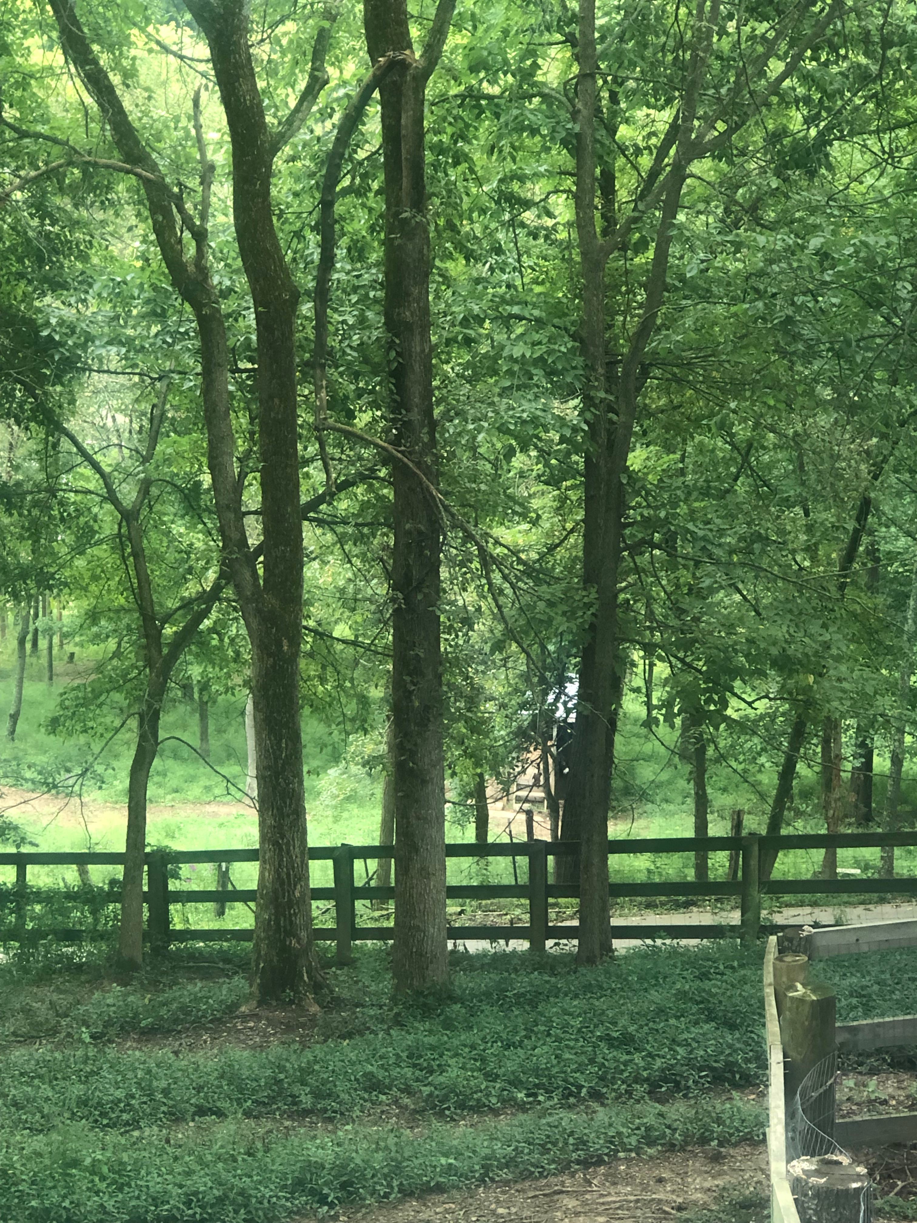 Still Hollow Farm