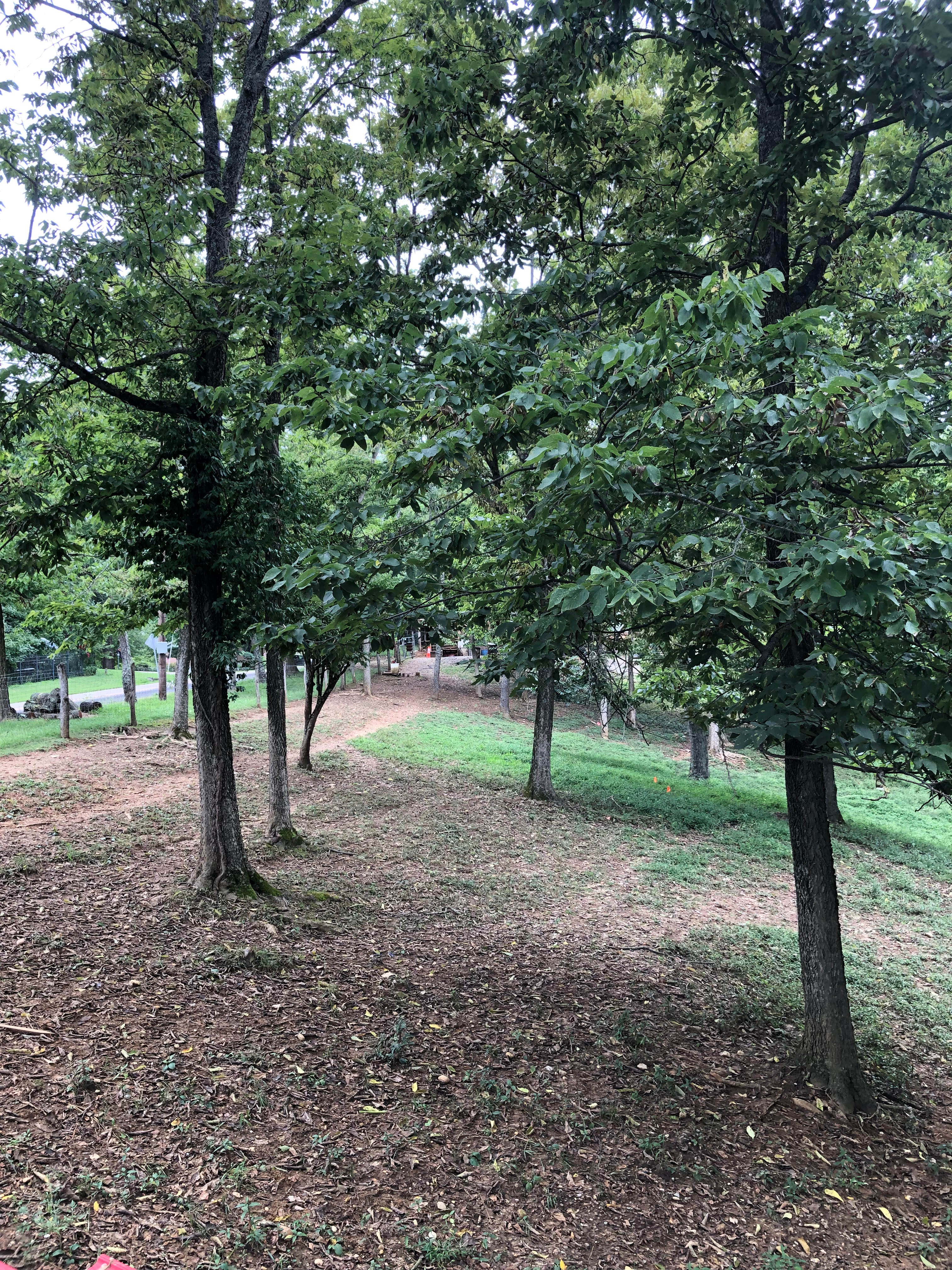 Still Hollow Farm