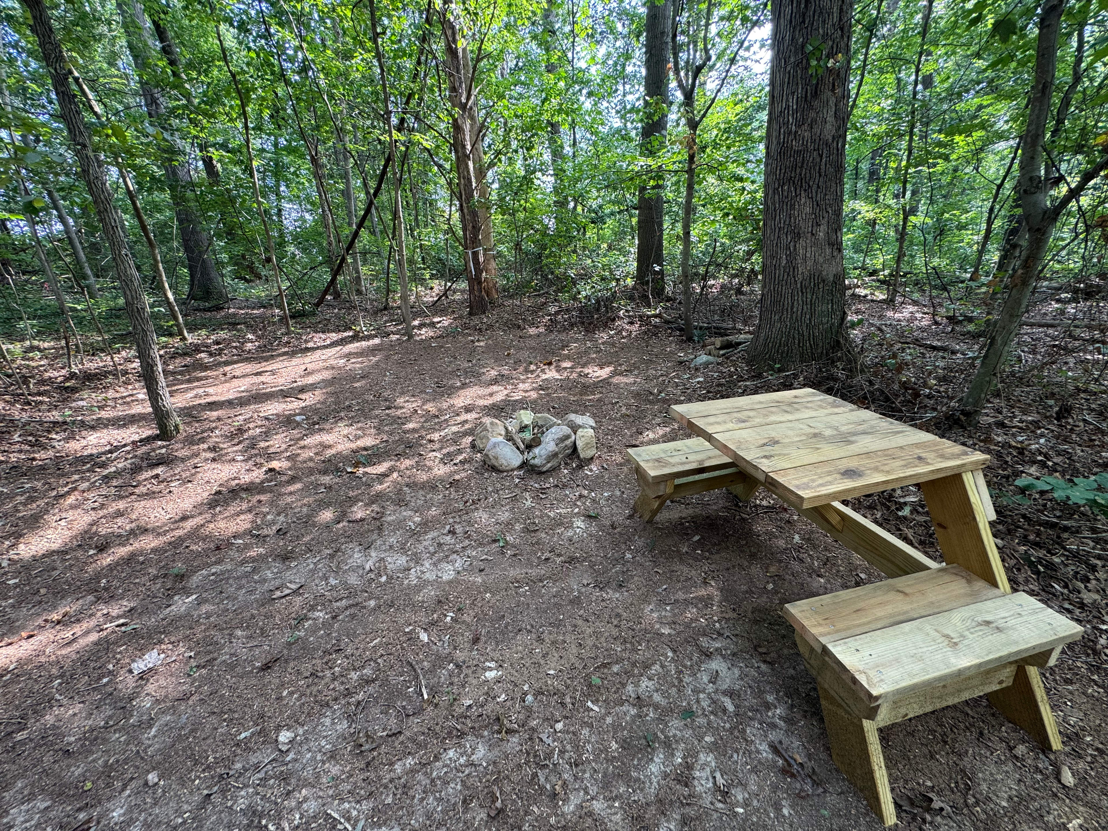 Site #1 with new table for 2