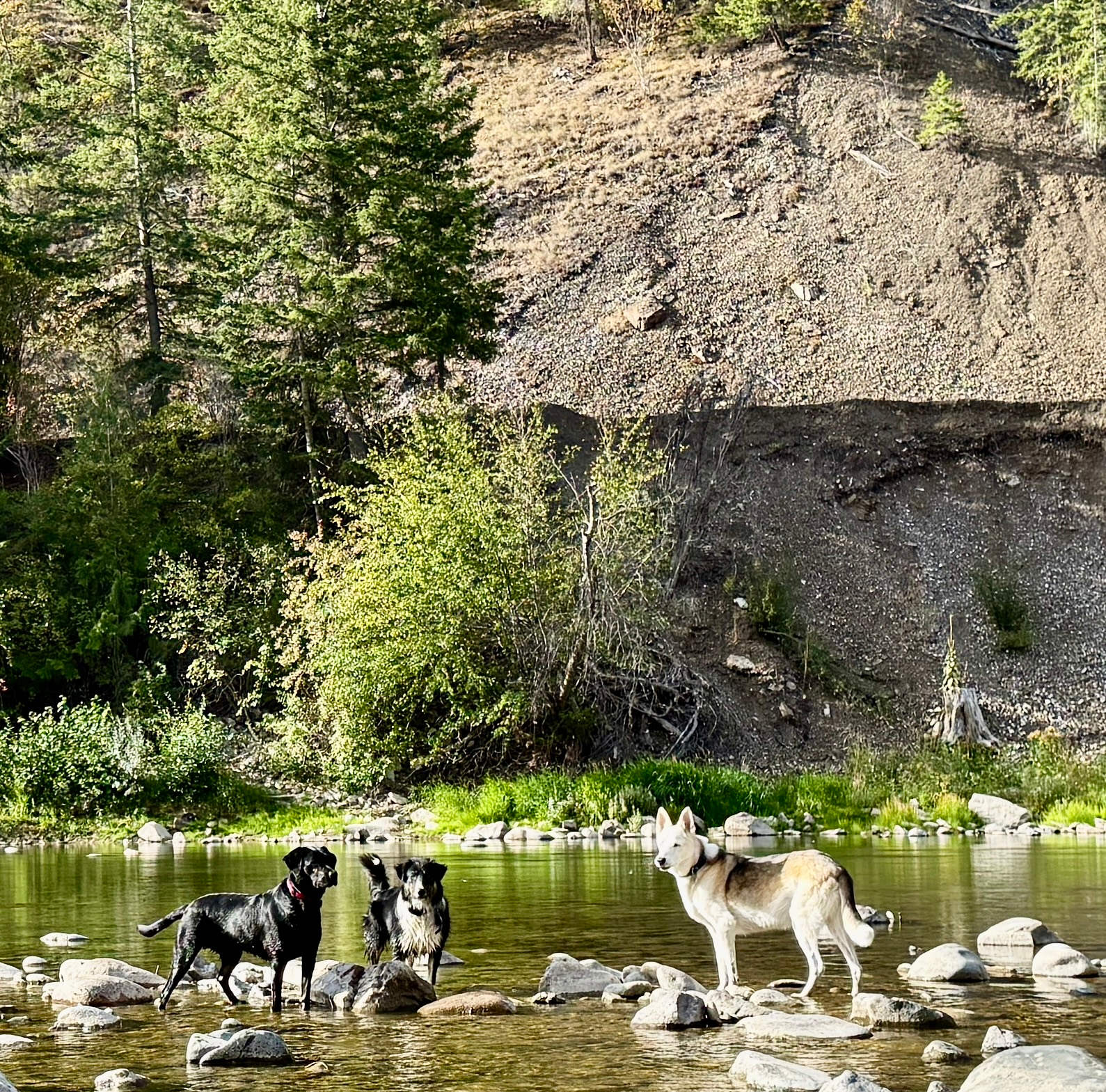 Lazy River Camping