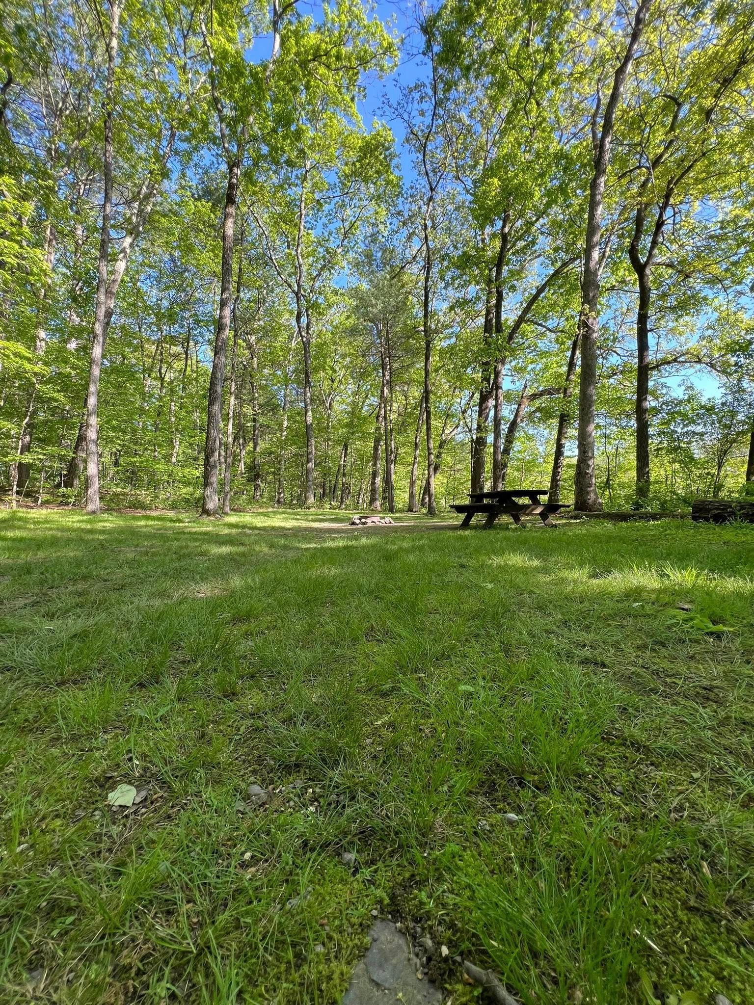 Dingmans Campground