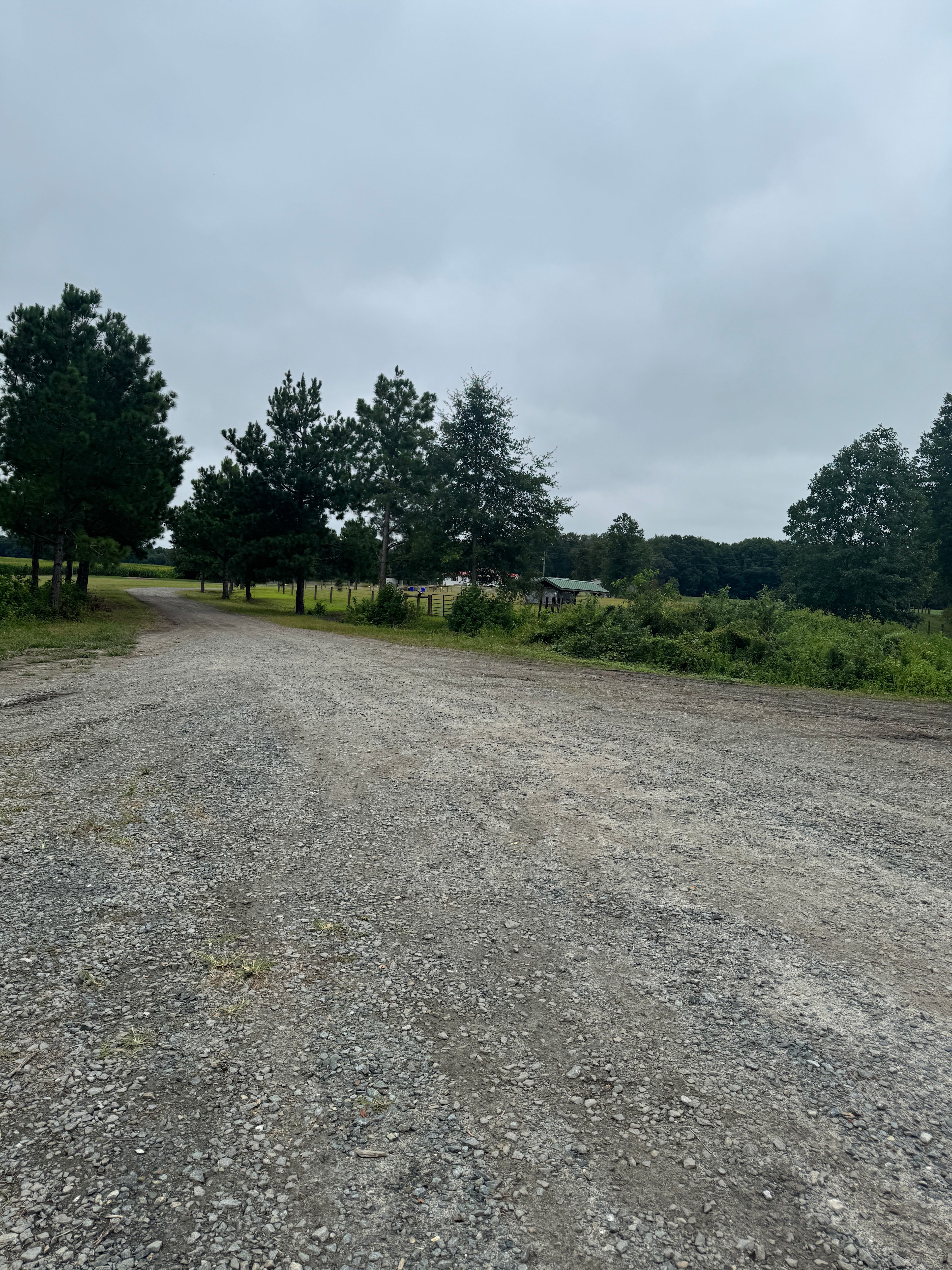 KH Performance Horses