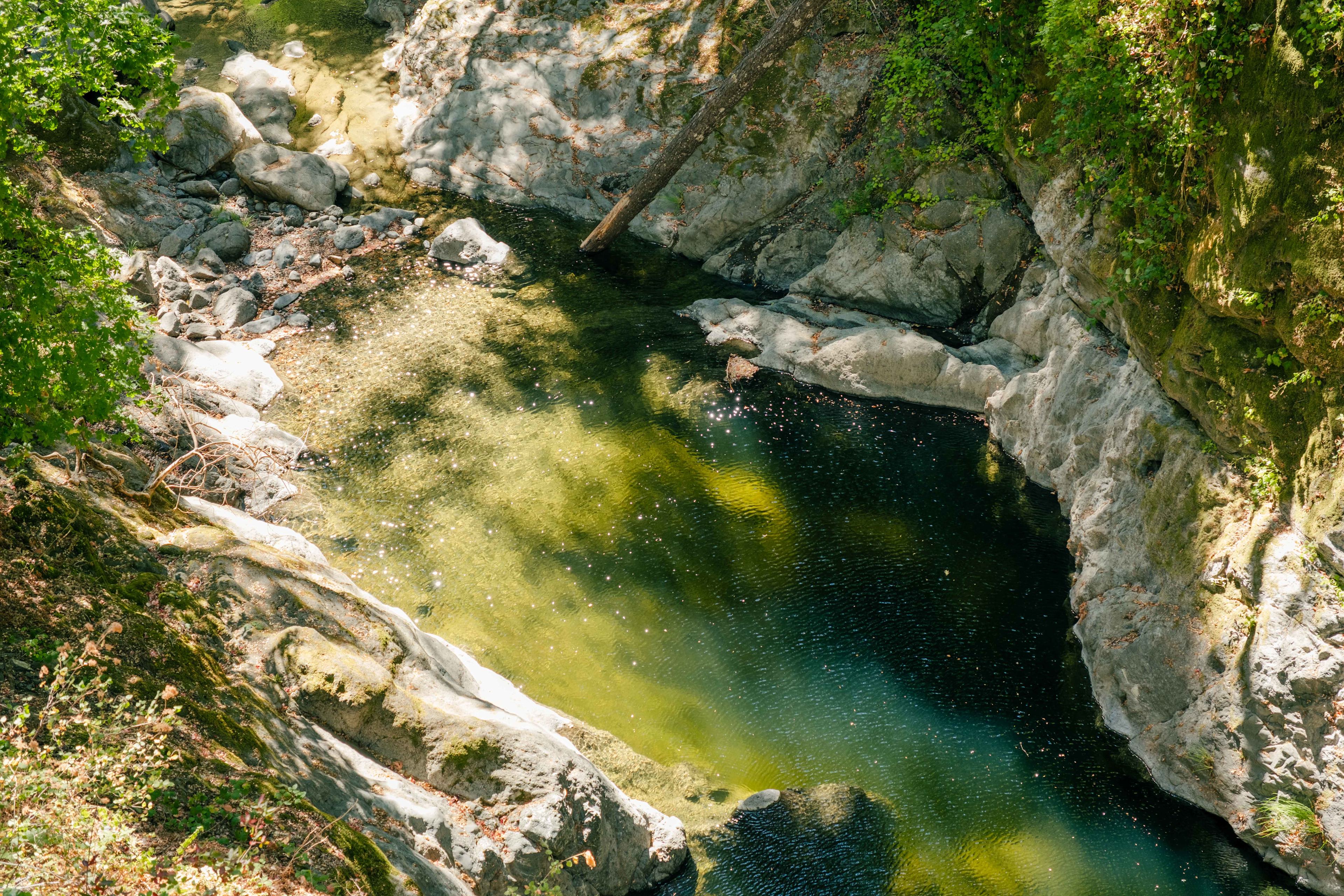 Rattlesnake creek- viewed from the bridge