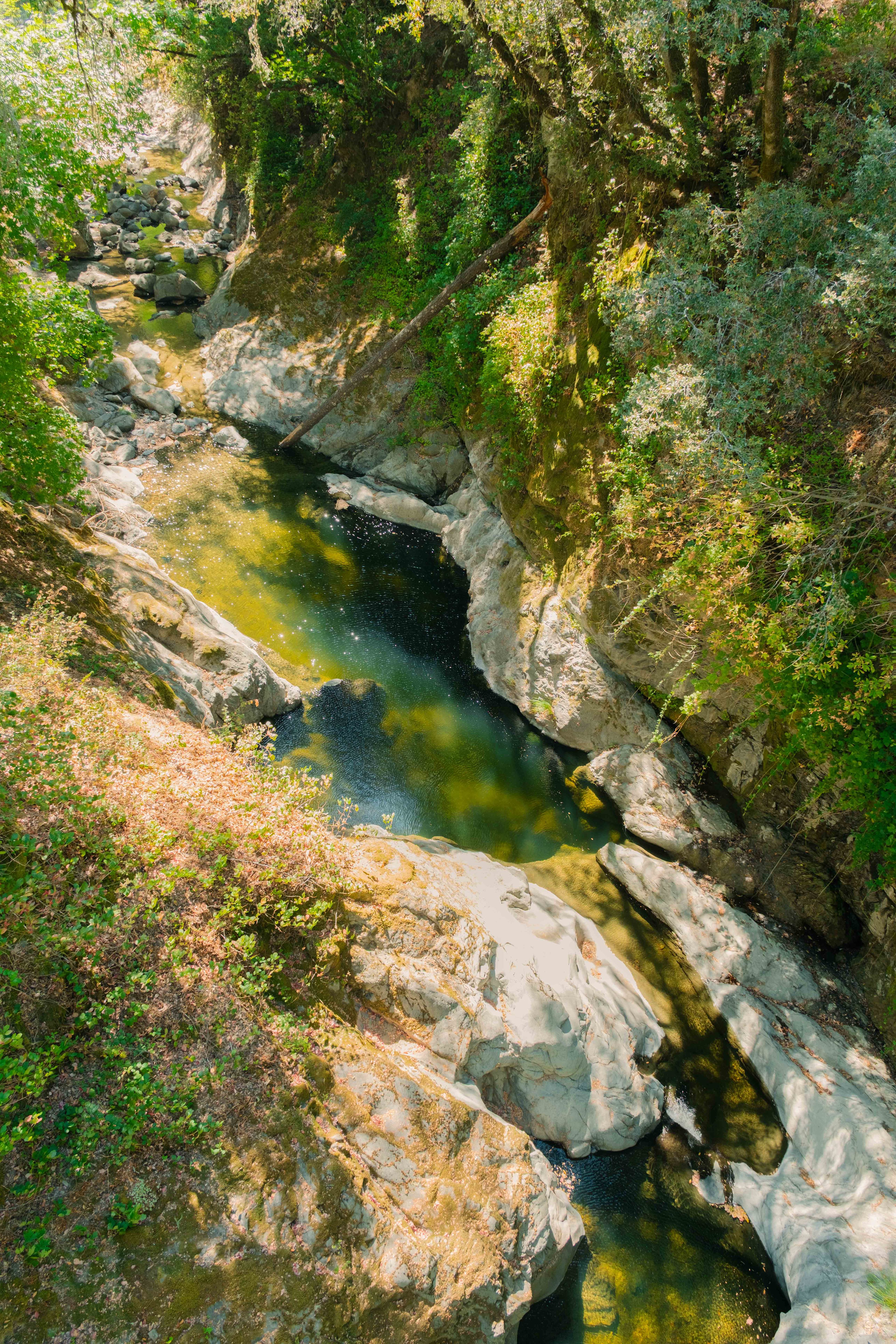 View of the creek from the bridge above