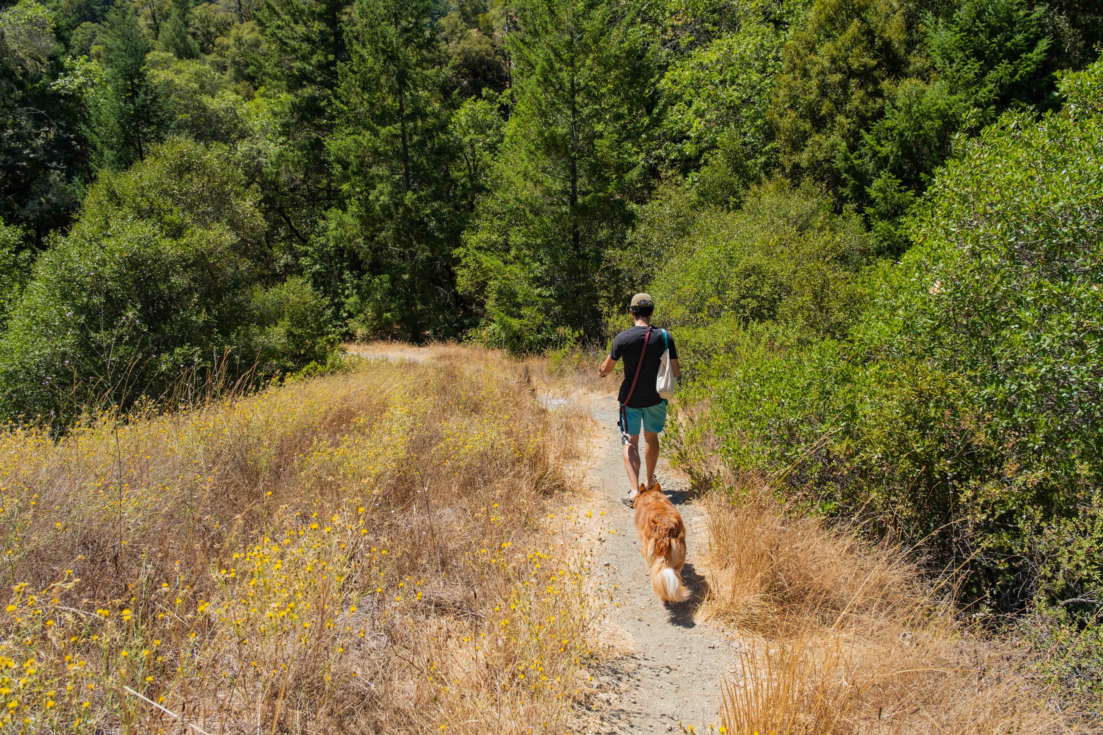 Short walk down to the swimming hole from the property