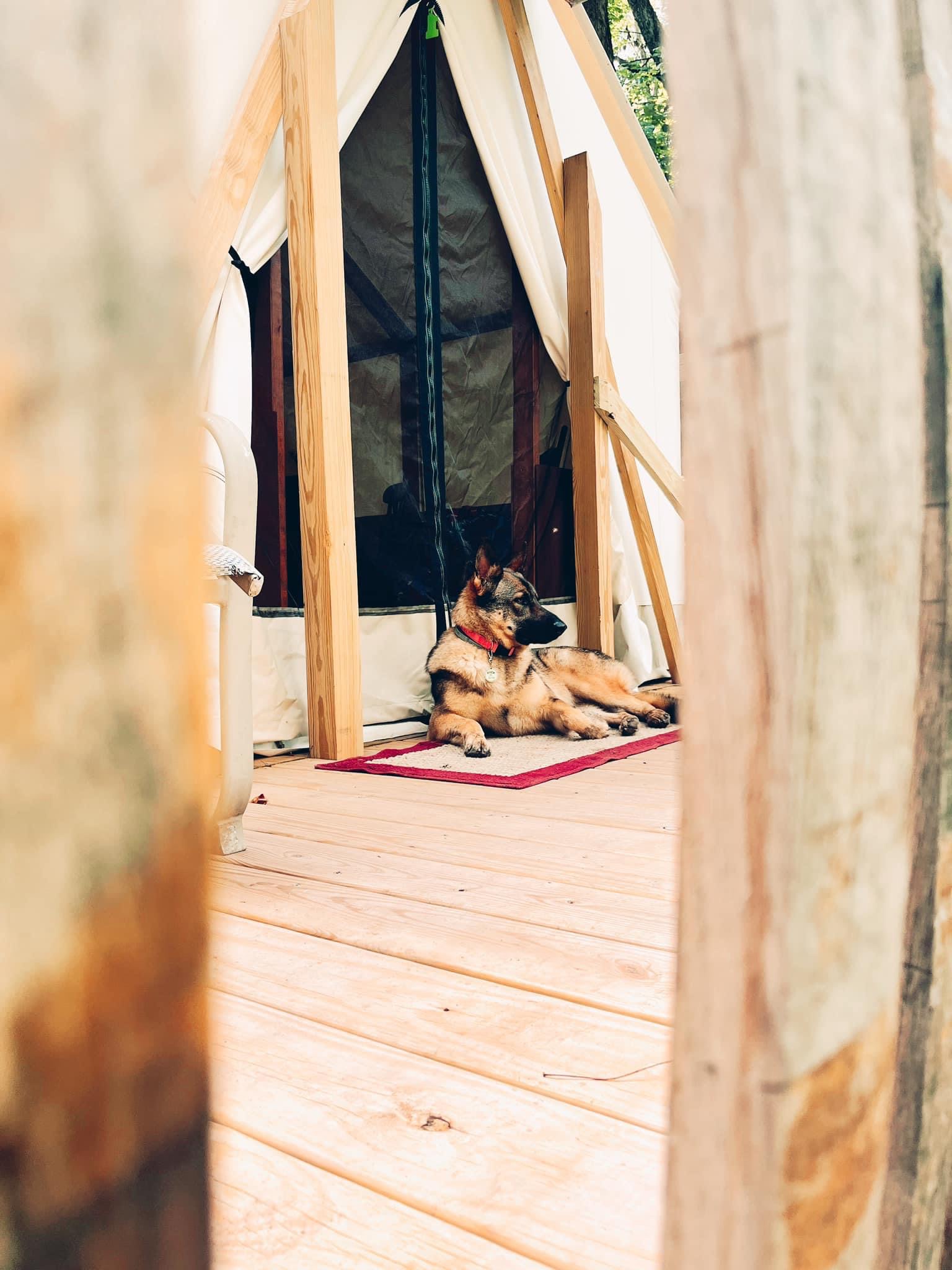 Whiskey Cabin @ Hideaway Ranch