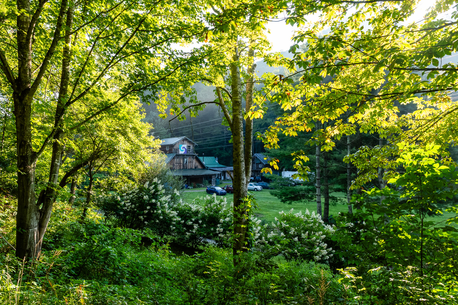 Campgrounds and morning sunrise through the trees