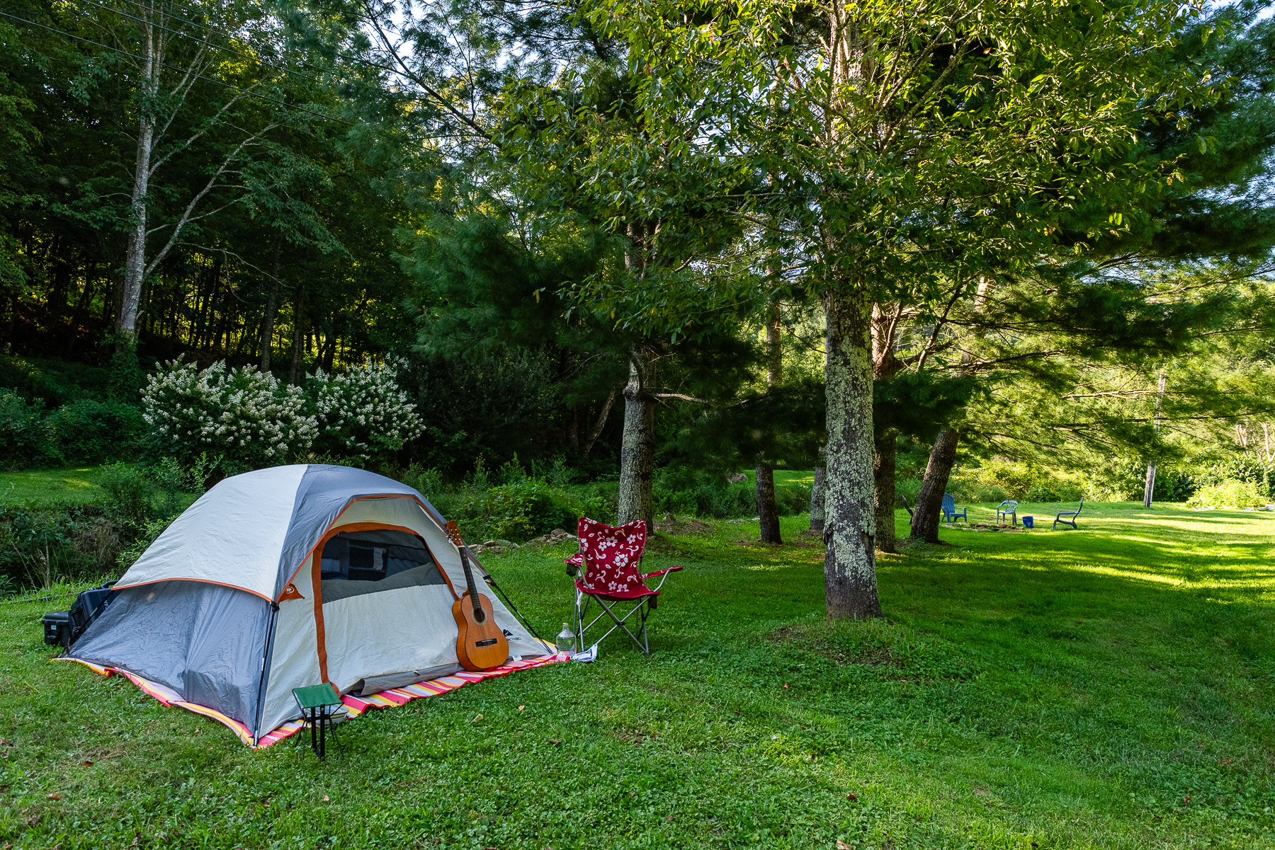 Campsite along the creek