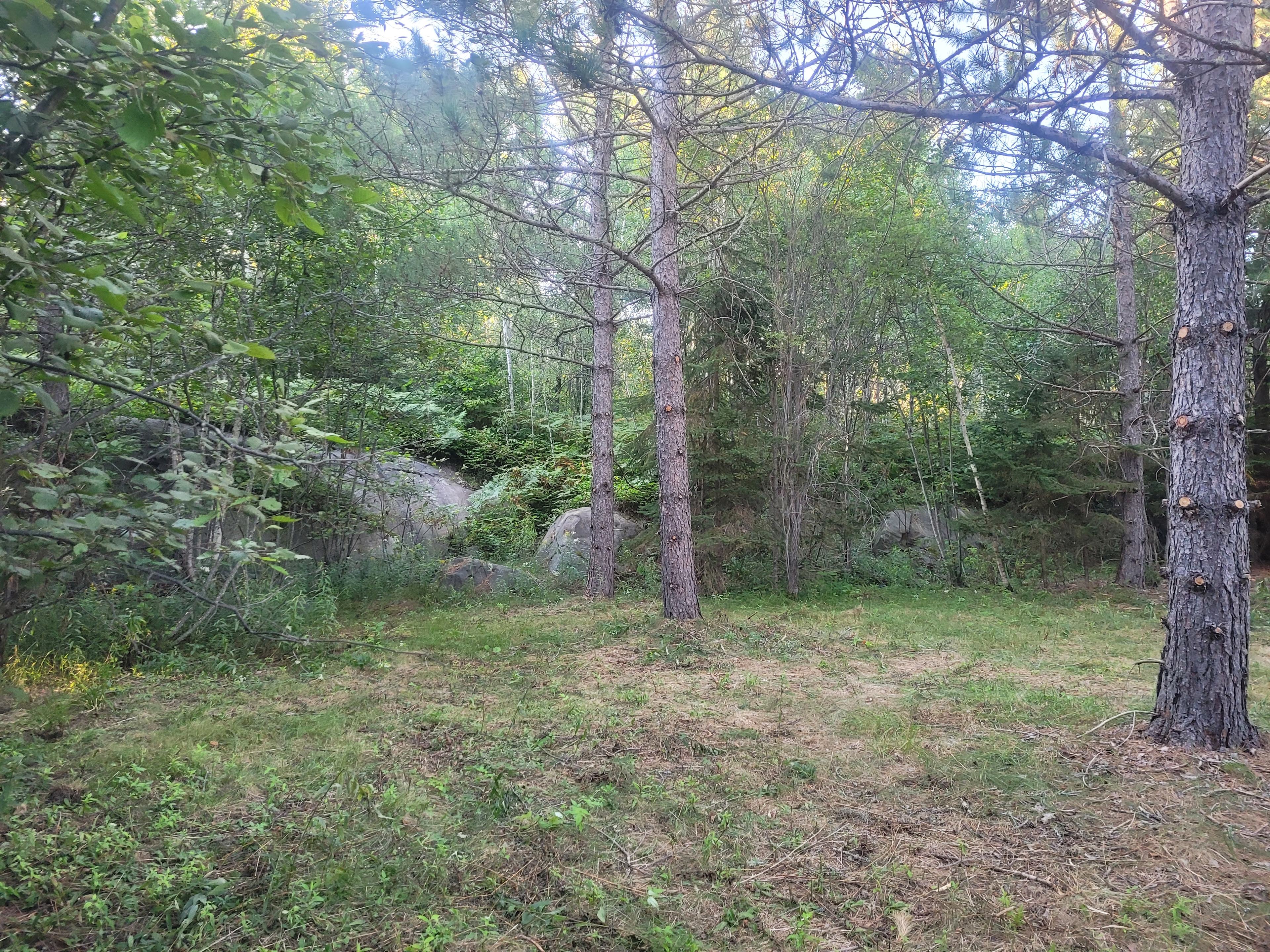 Beautiful Field Farm