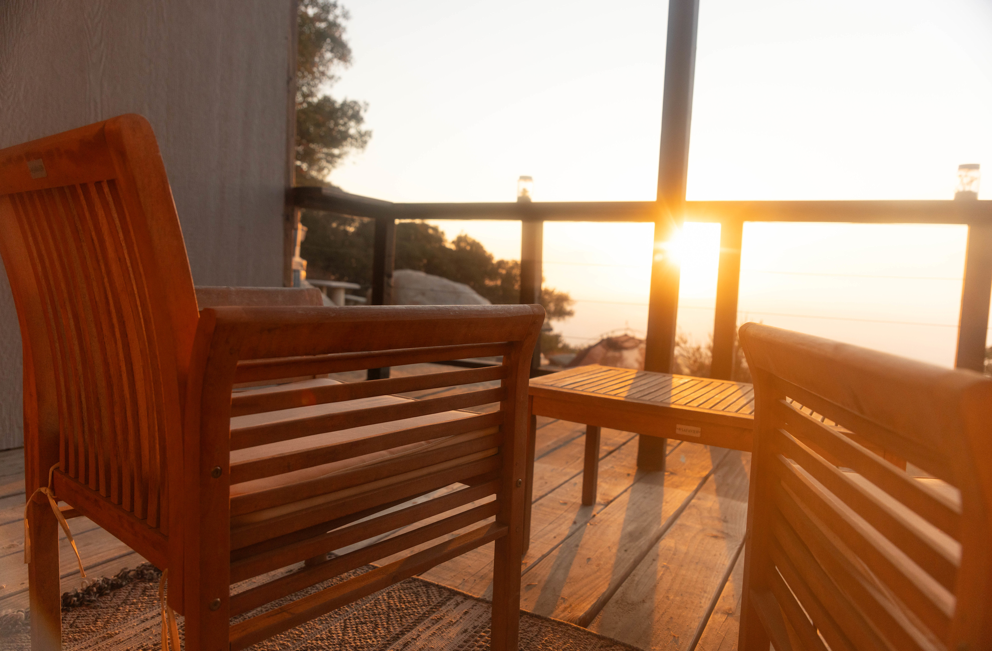 Zephyr Mountain Avocado Grove