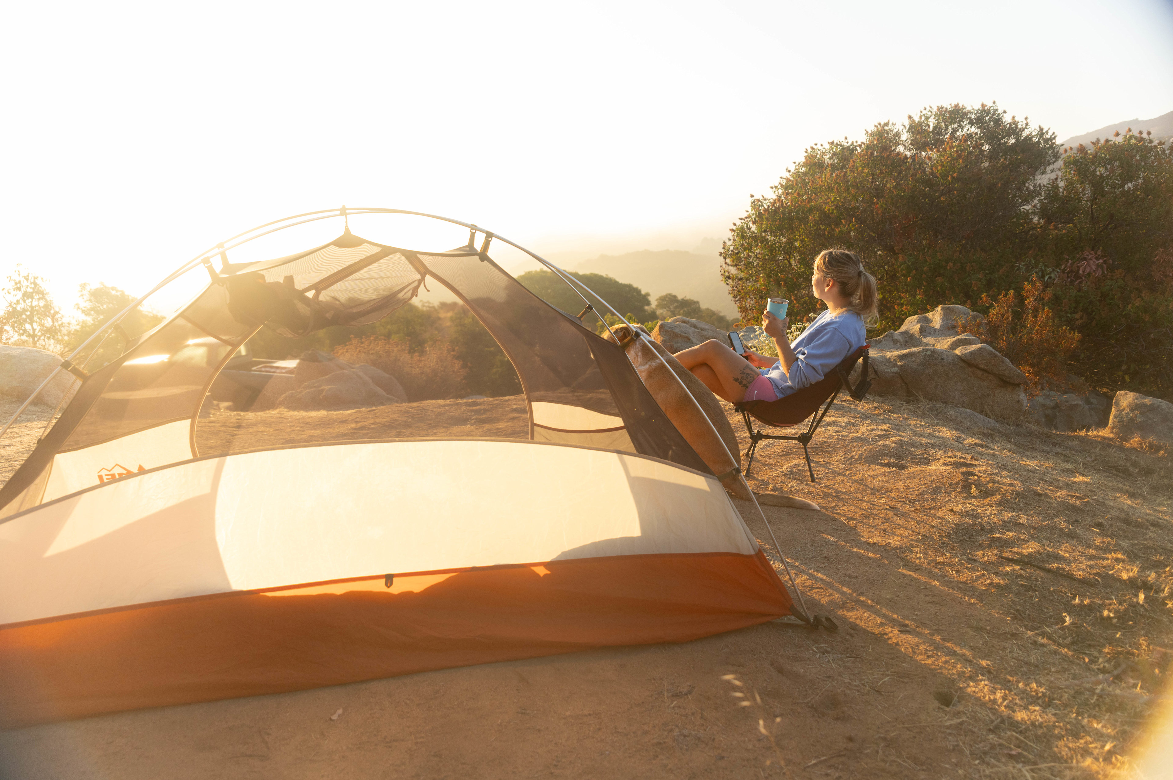 Zephyr Mountain Avocado Grove