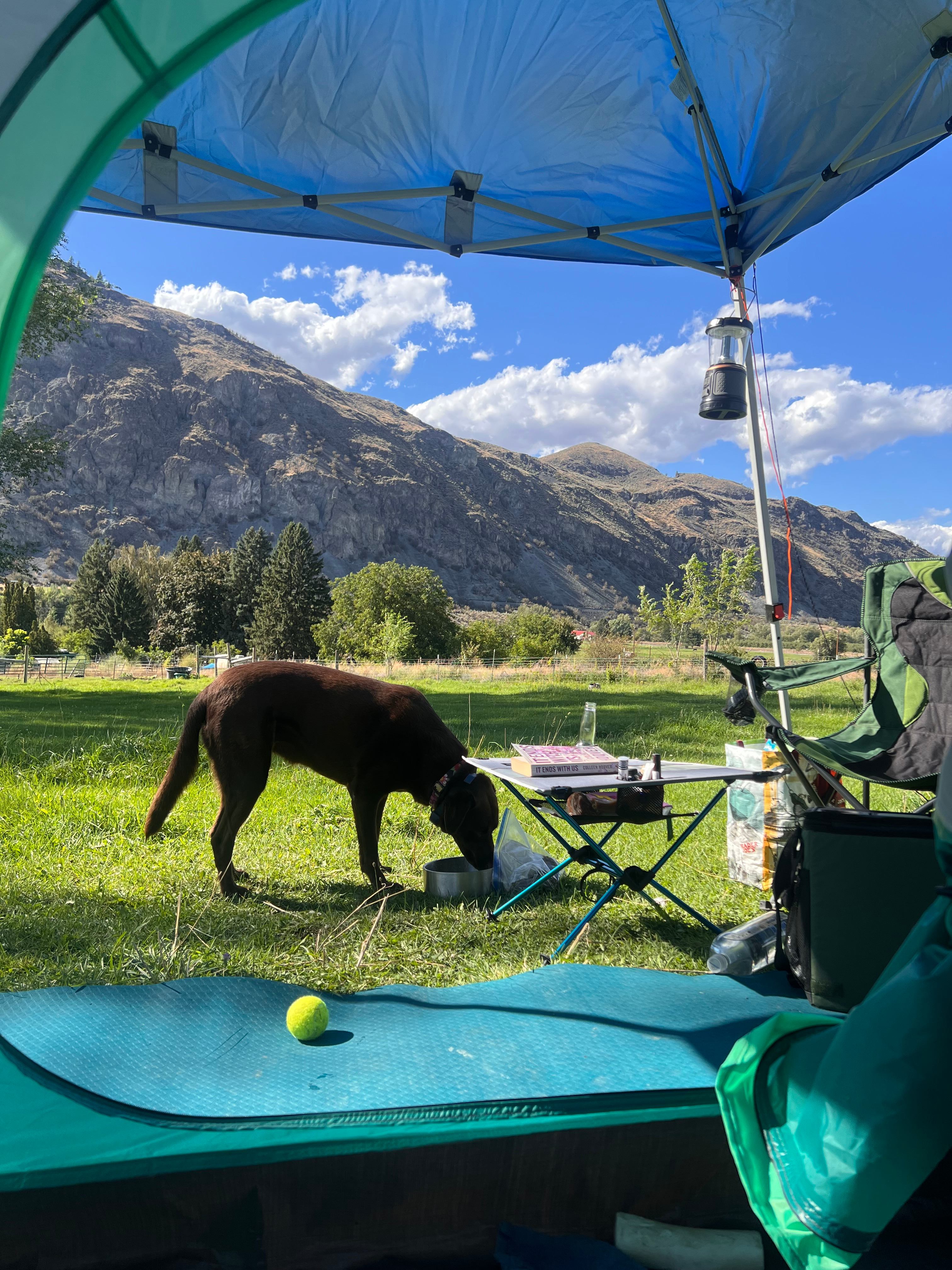 Little Farm Campground