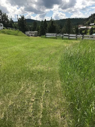 Checkerboard Bar and Inn
