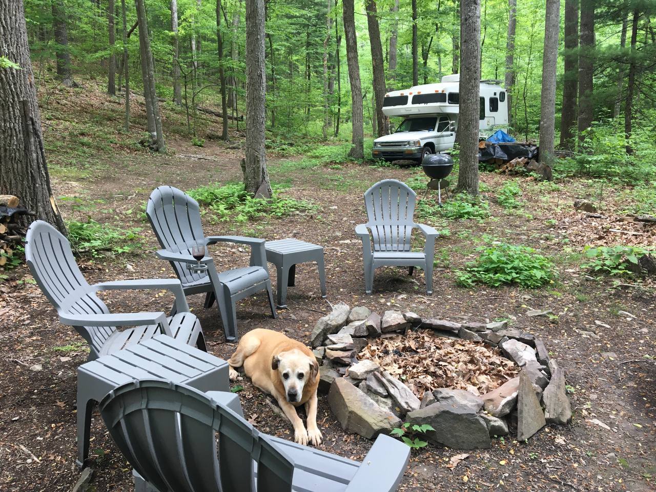 Bear Creek Clothing Optional Camp