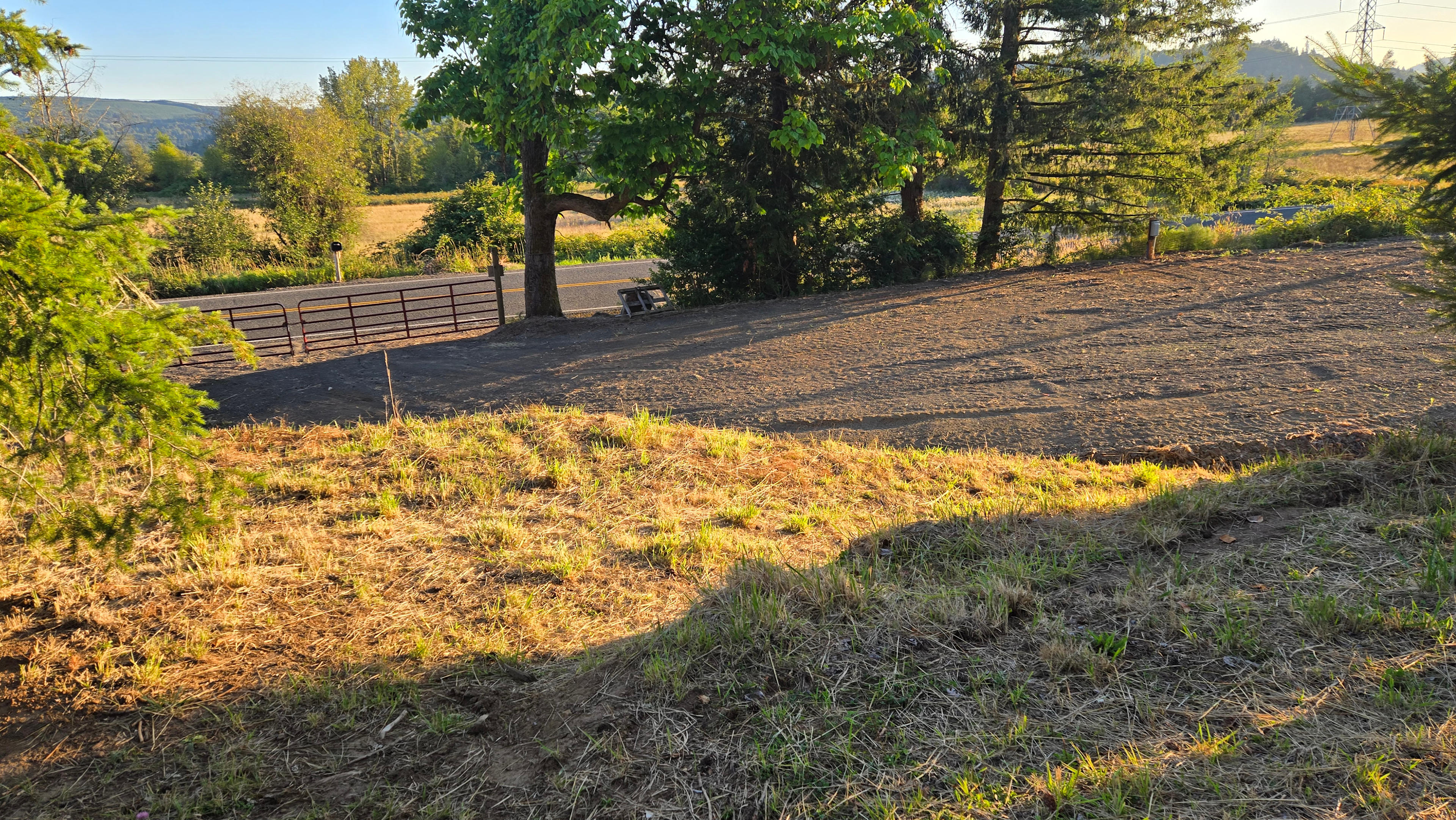 Campsite Near Lakes Mayfield/Riffe